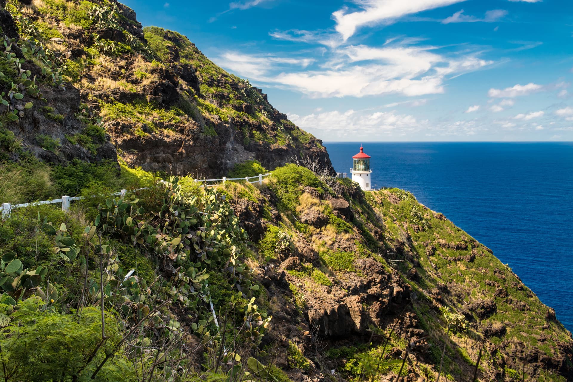 Go City Oahu Explorer Pass: Save up to 50% on Attractions - تصویر 7
