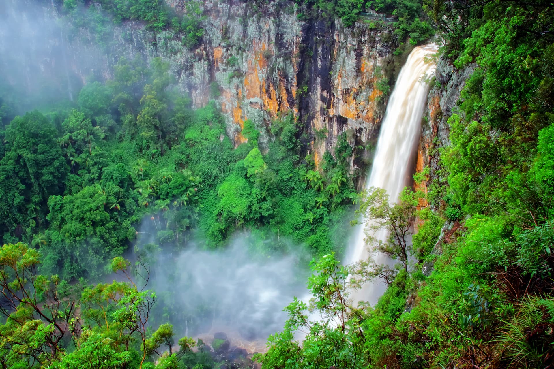 Springbrook National Park Tour: Natural Bridge and Waterfalls - تصویر 2