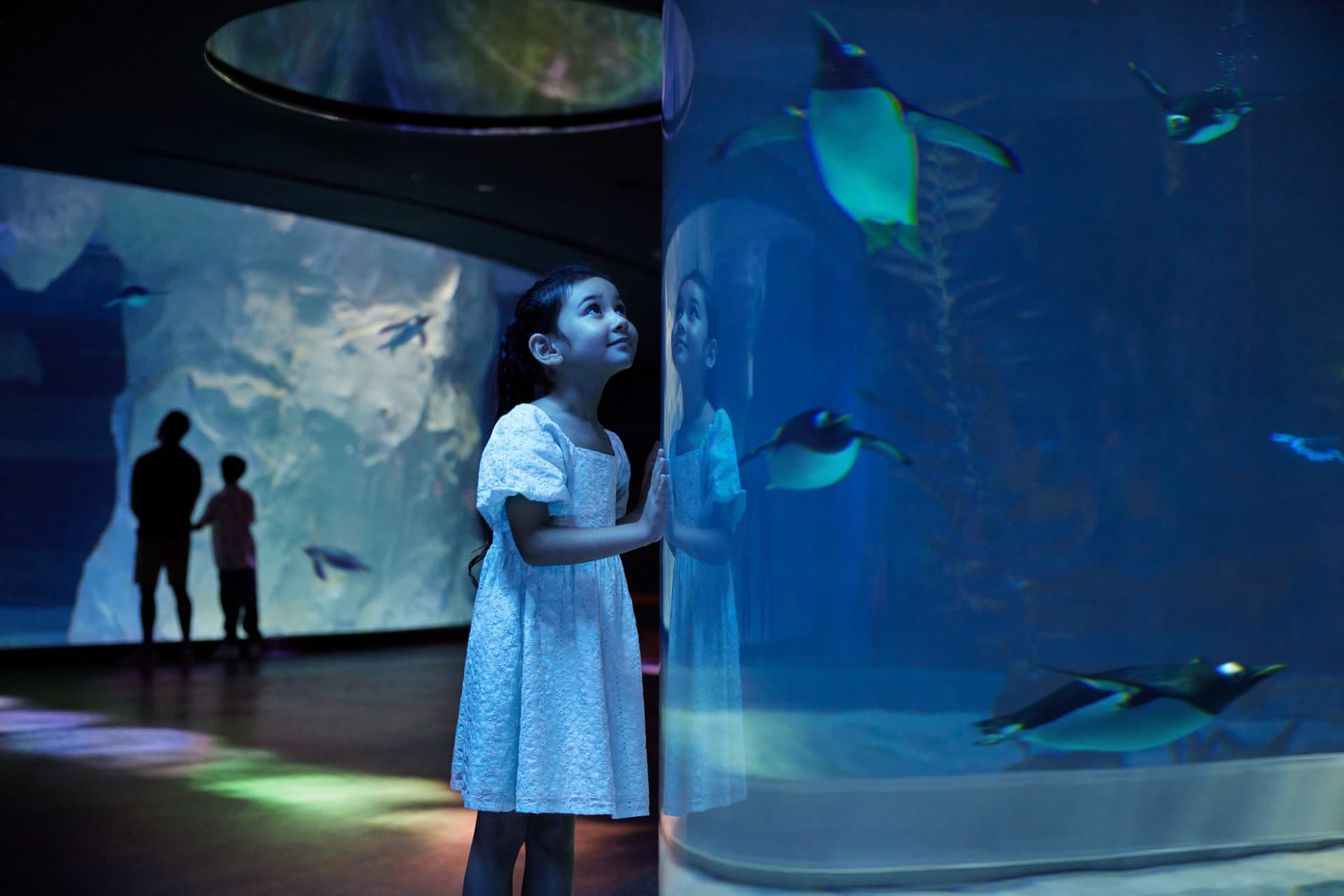 COMBO: River Wonders + Bird Paradise Ticket - تصویر 18