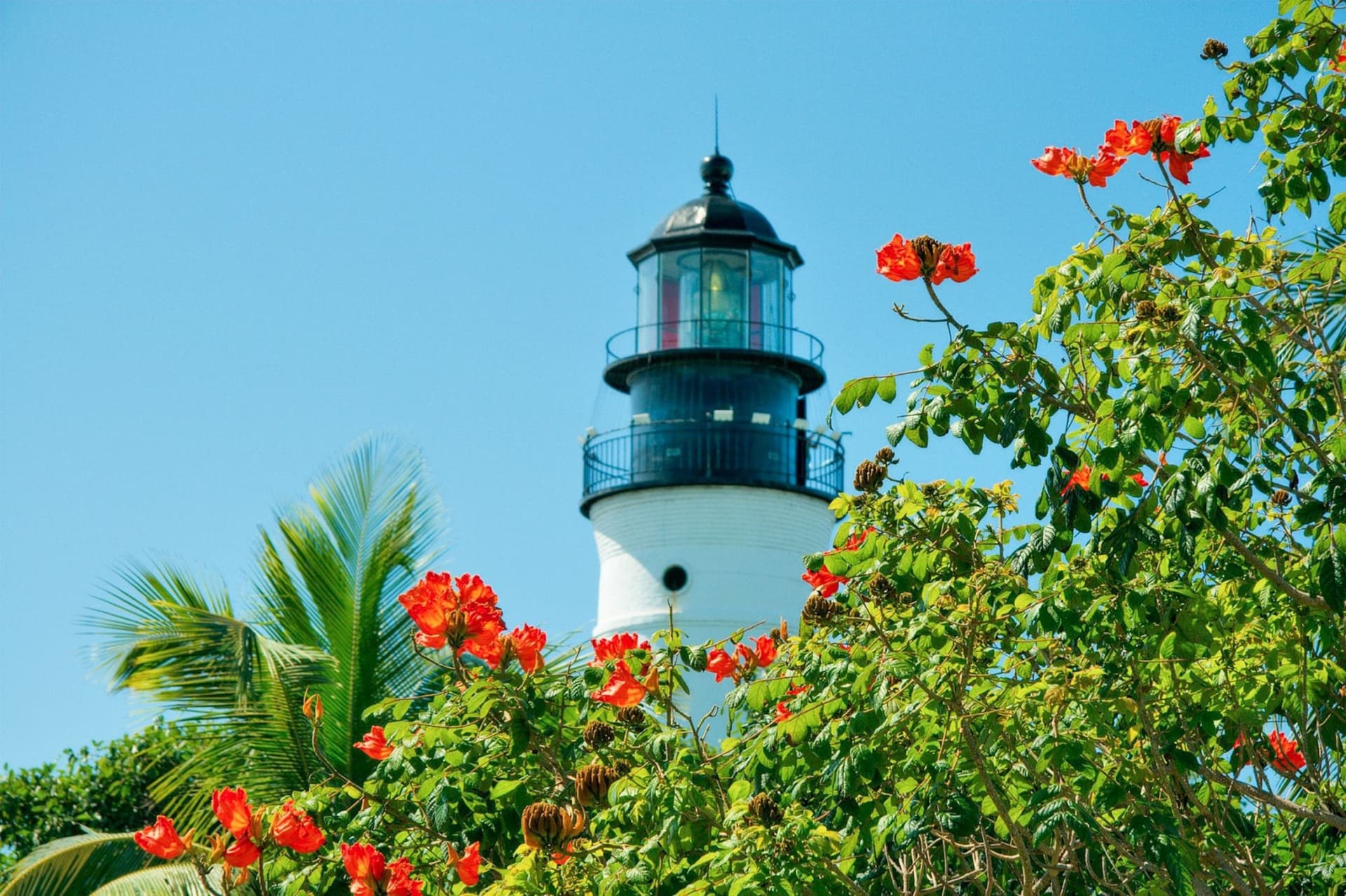 Day Trip to Key West from Miami with Optional Activities - تصویر 21