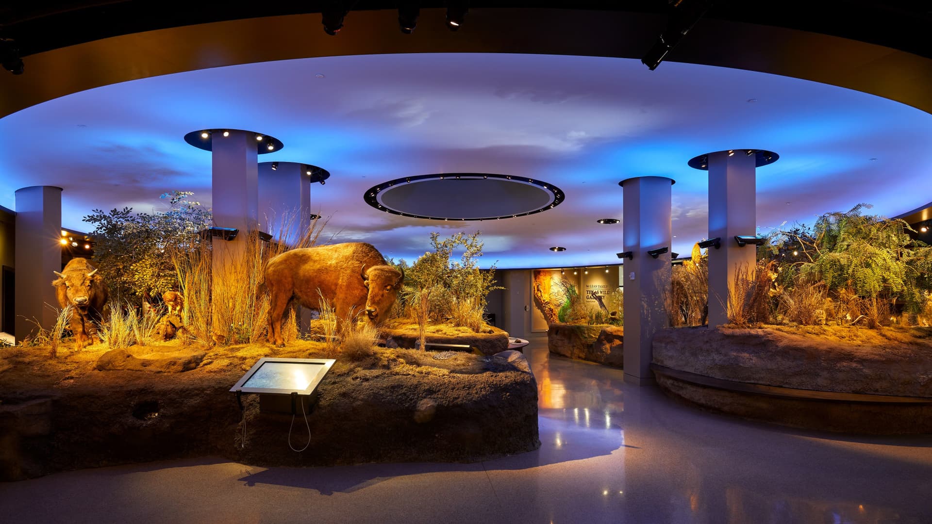 Go City San Antonio Highlights Pass: 3 Attractions - تصویر 12