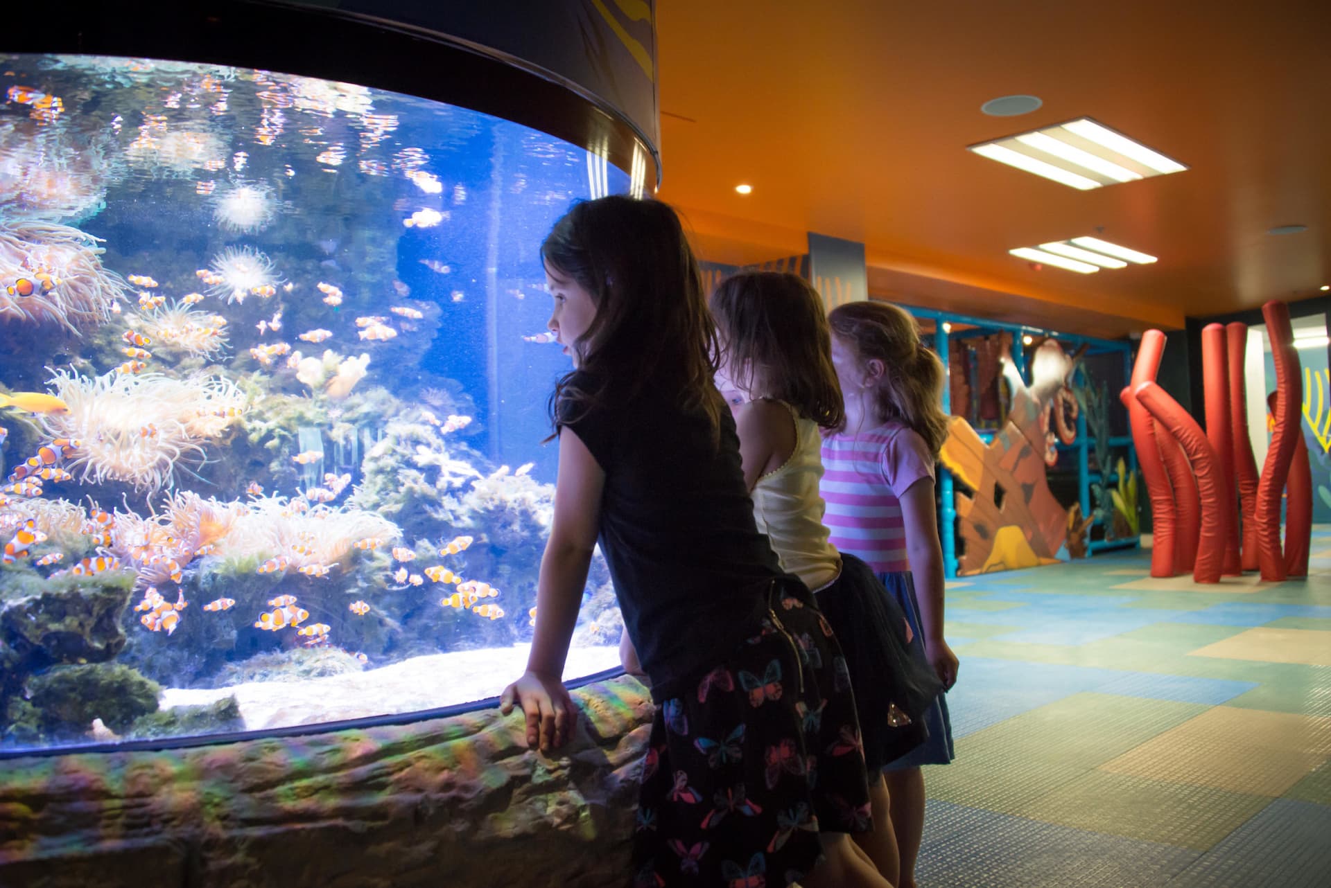 SEA LIFE Kelly Tarlton's Aquarium Ticket - تصویر 2