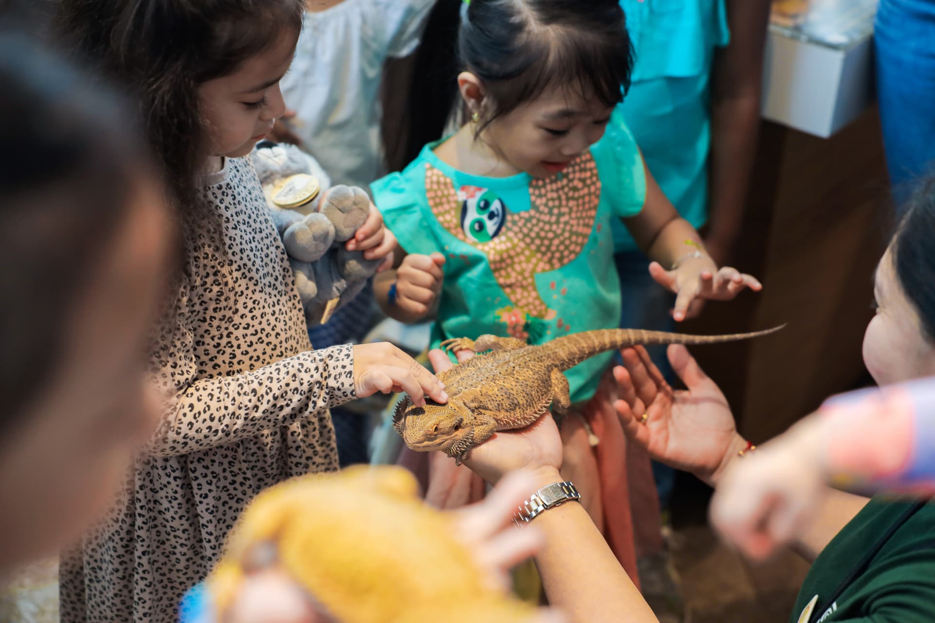 The Green Planet Dubai Ticket - تصویر 5
