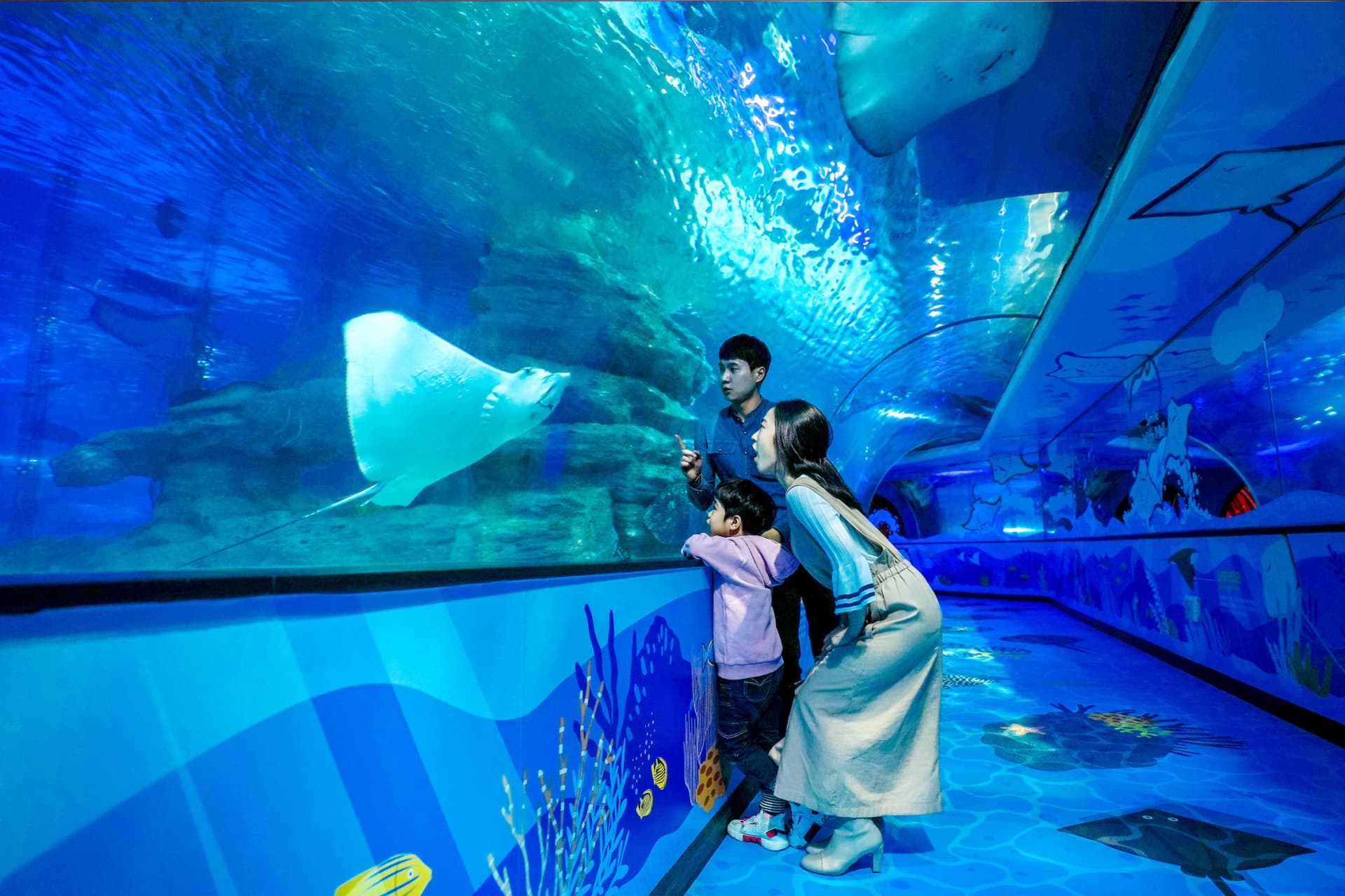 SEA LIFE Busan Aquarium Ticket - تصویر اصلی