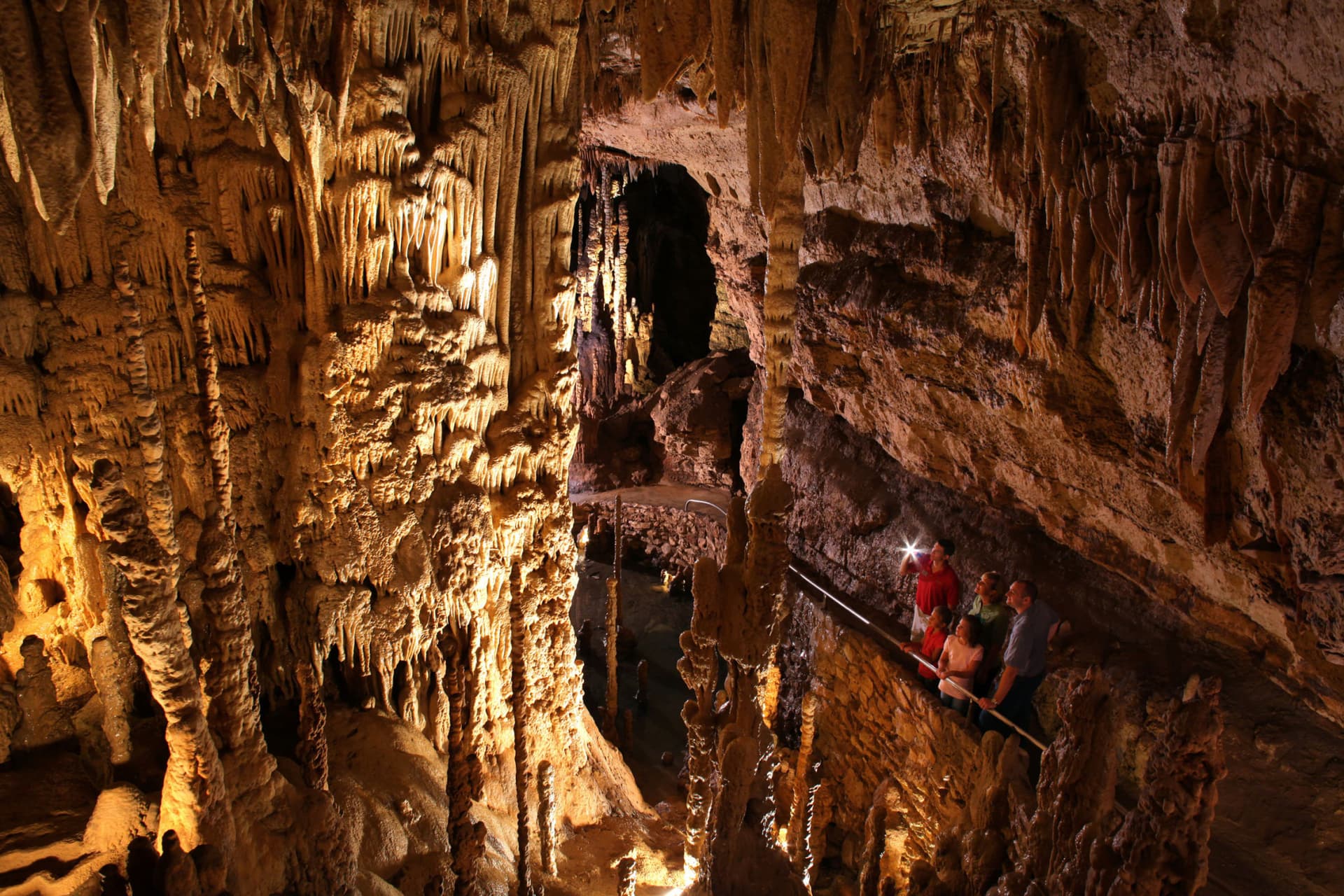 Go City San Antonio Highlights Pass: 3 Attractions - تصویر 19