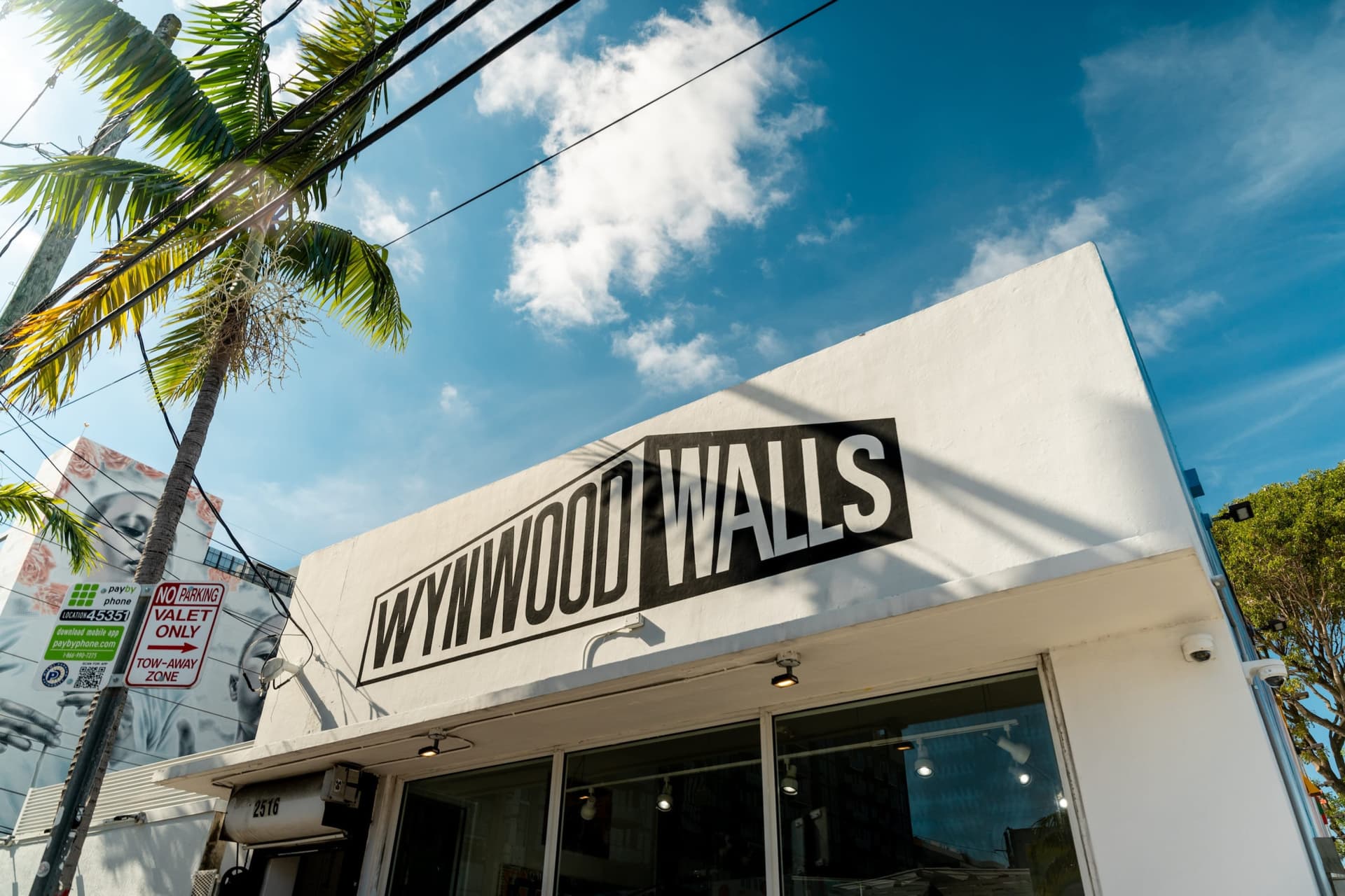 Miami: Wynwood Walls Skip-the-Line Ticket - تصویر 5