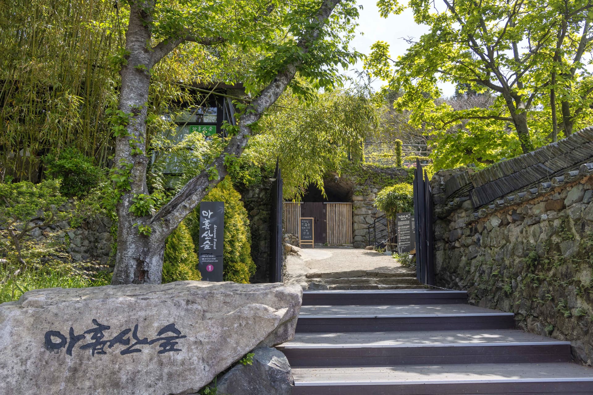Busan Local Life Tour: Bamboo Forest, Haedongyonggungsa Temple, Gamcheon Culture Village - تصویر 2