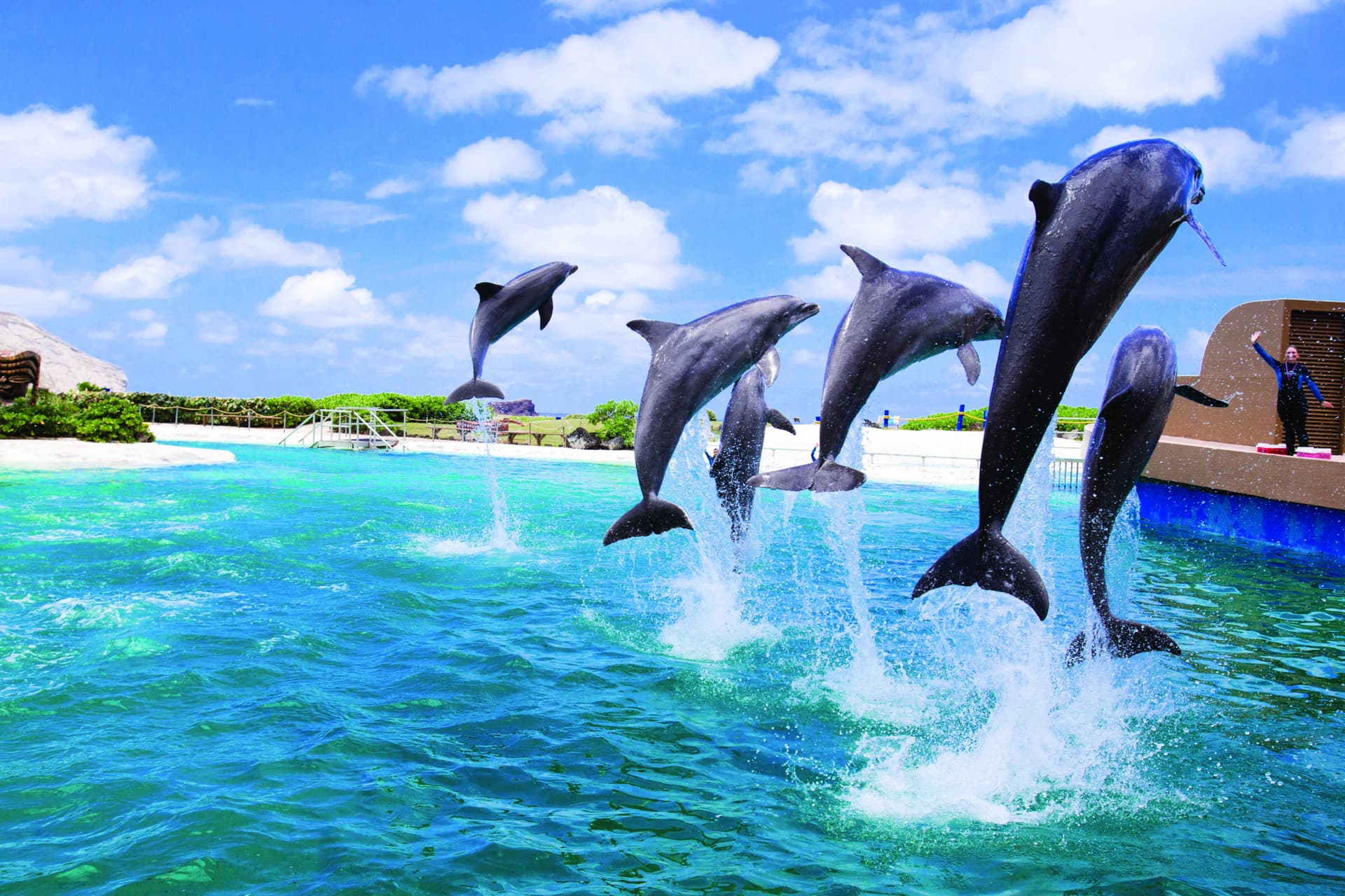 Go City Oahu Explorer Pass: Save up to 50% on Attractions - تصویر 13