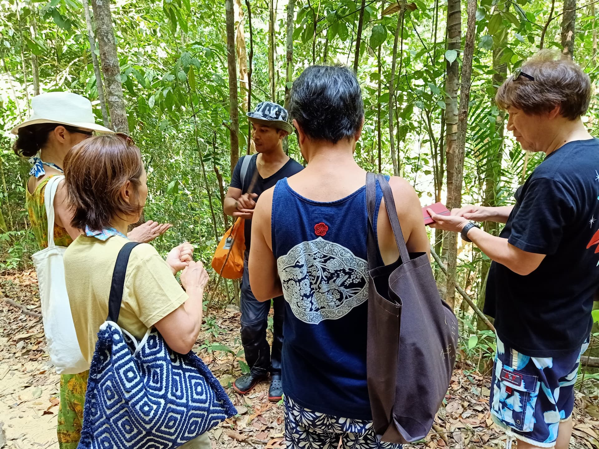 Langkawi Morning Rainforest Walking Tour - تصویر 3