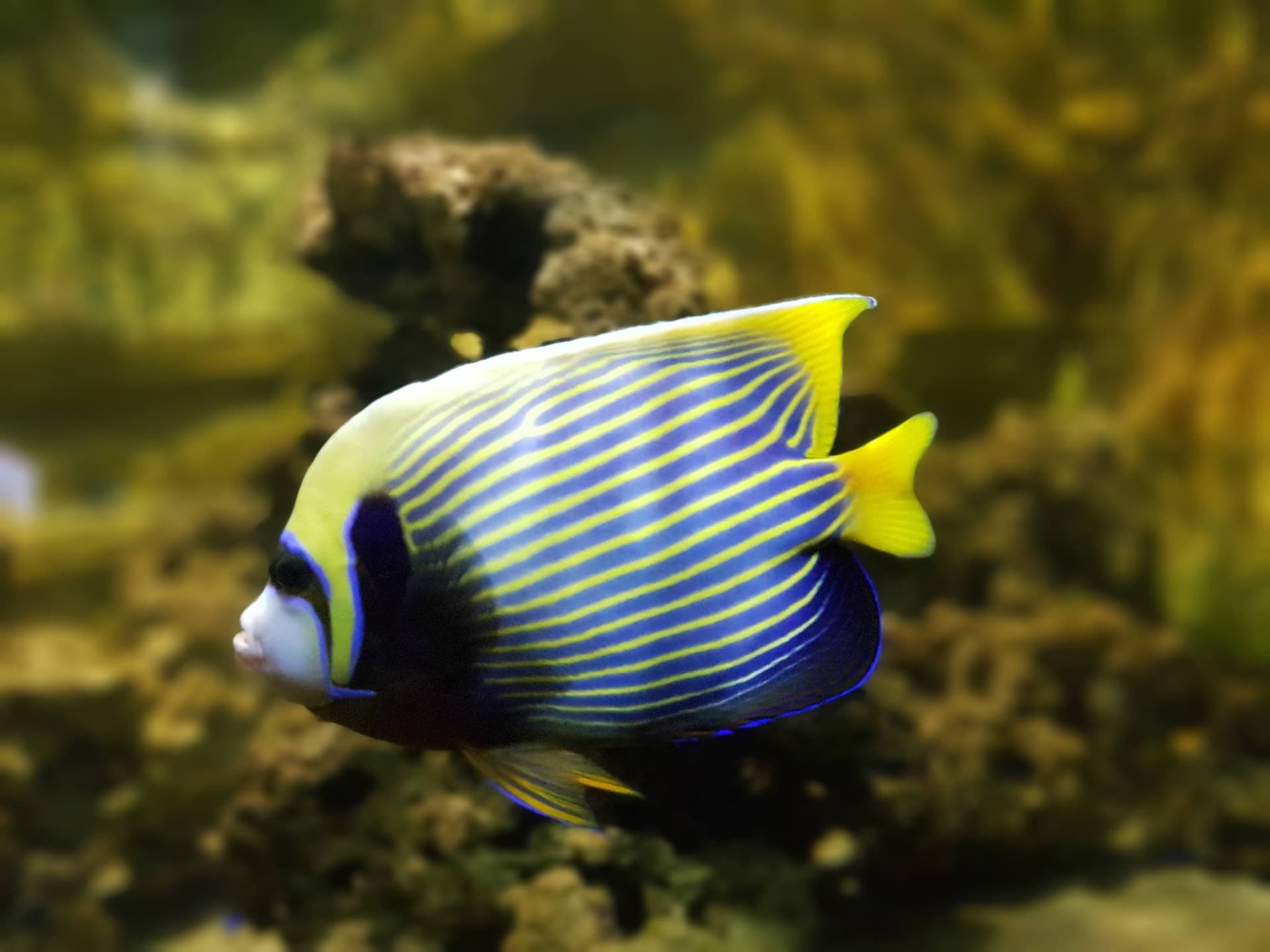 Yehliu Ocean World - تصویر 7