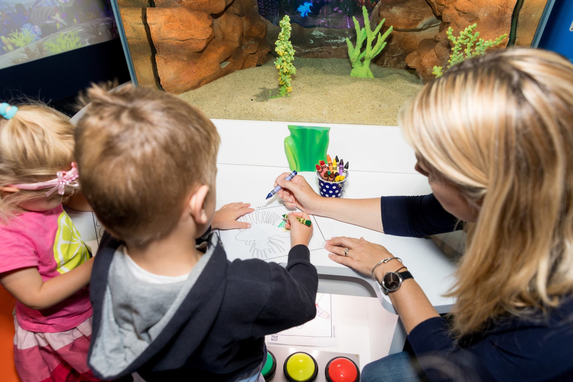 SEA LIFE Kelly Tarlton's Aquarium Ticket - تصویر 11
