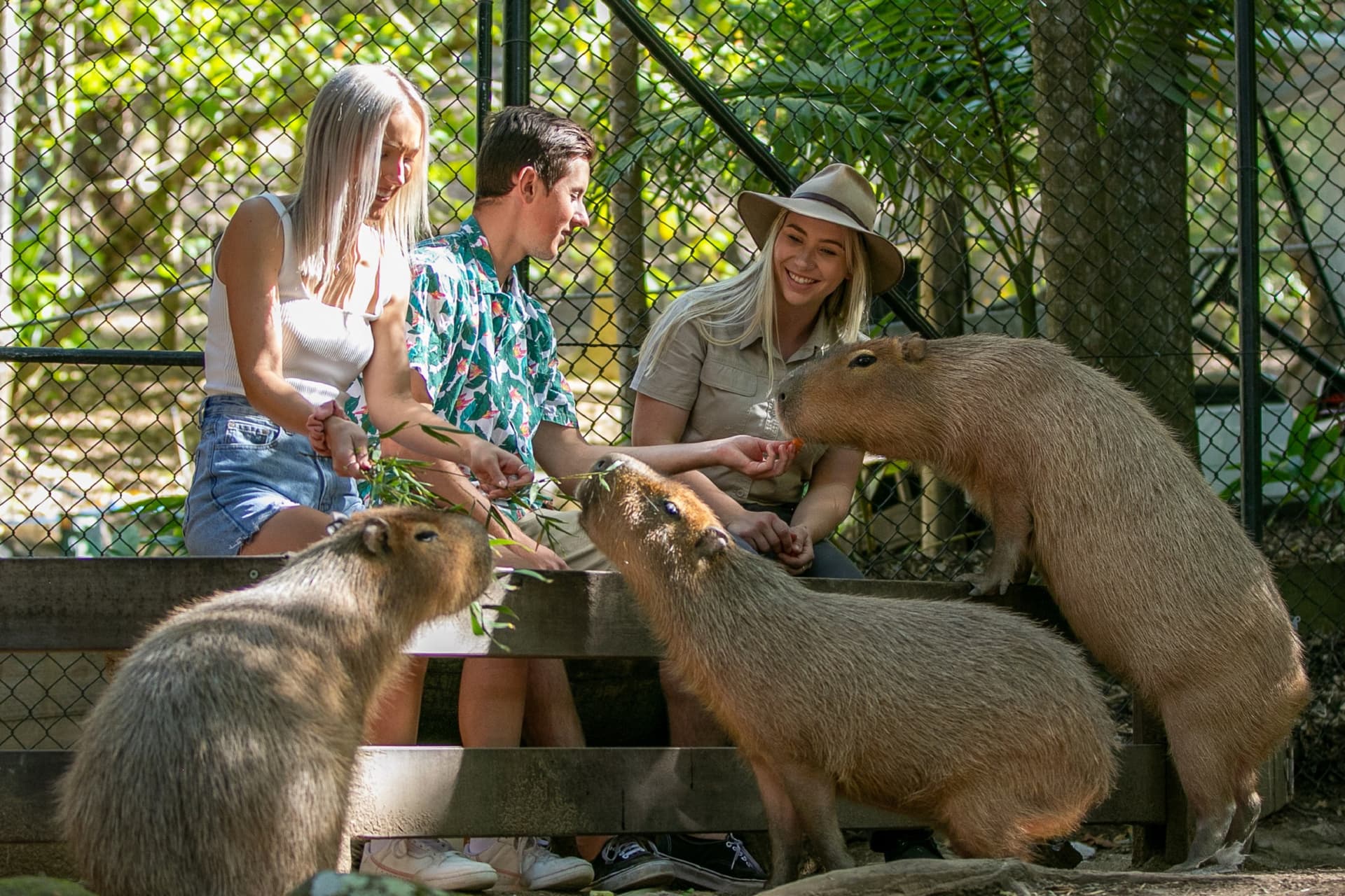 Currumbin Wildlife Sanctuary Gold Coast Ticket - تصویر 9