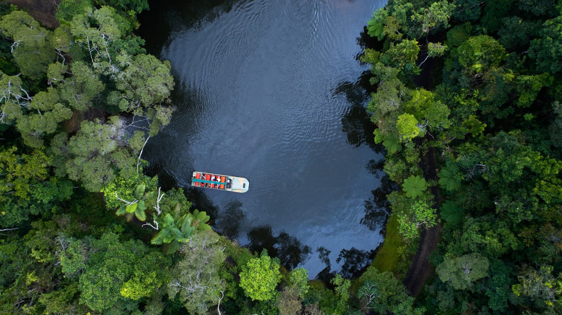 Kuranda Rainforestation Nature Park Full-Day Tour from Cairns with Kuranda Scenic Railway - تصویر 4