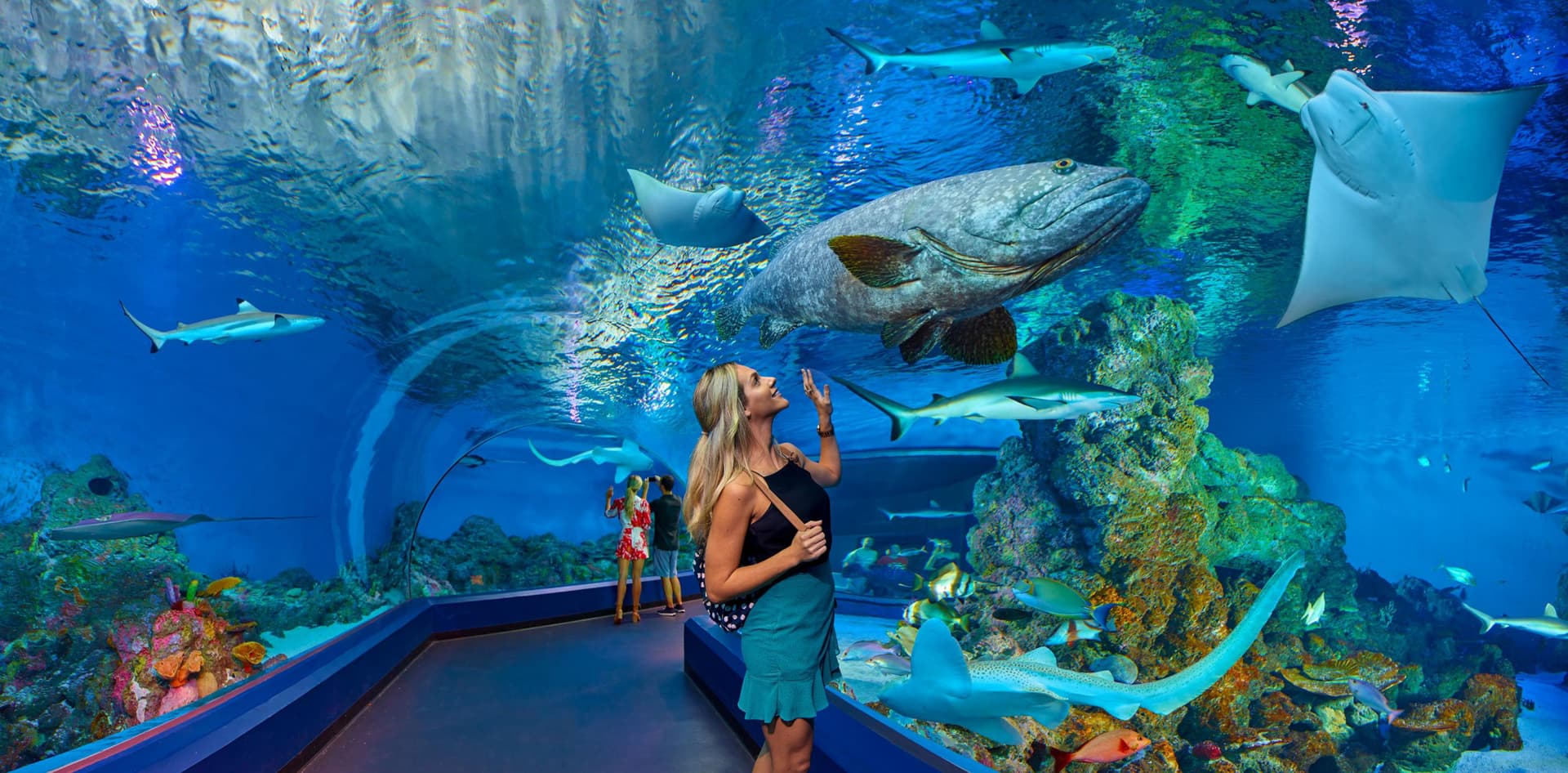 Cairns Aquarium Ticket - تصویر اصلی