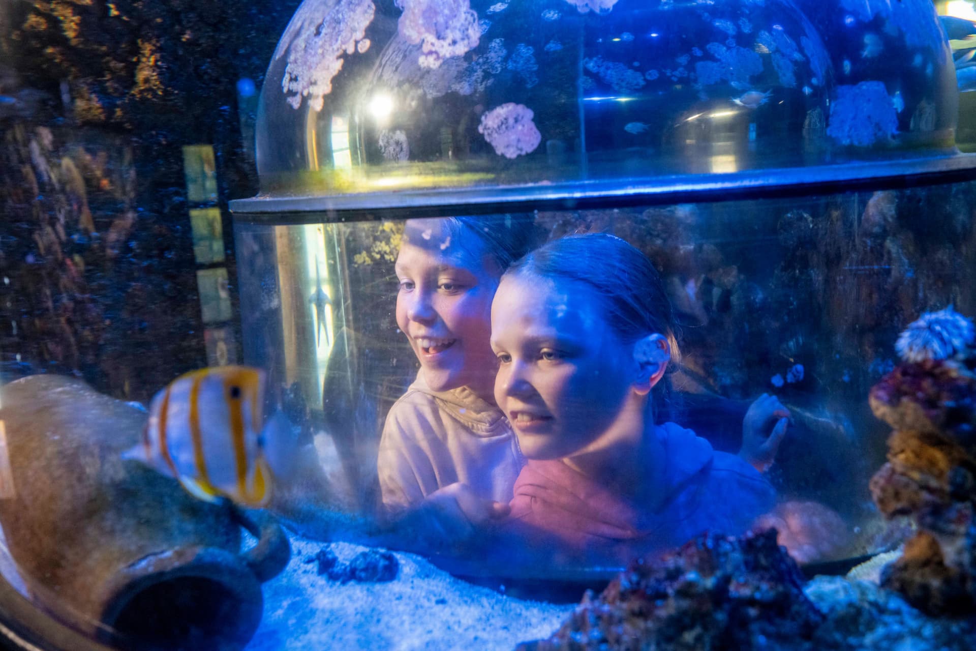 SEA LIFE Munich Aquarium Ticket - تصویر 3