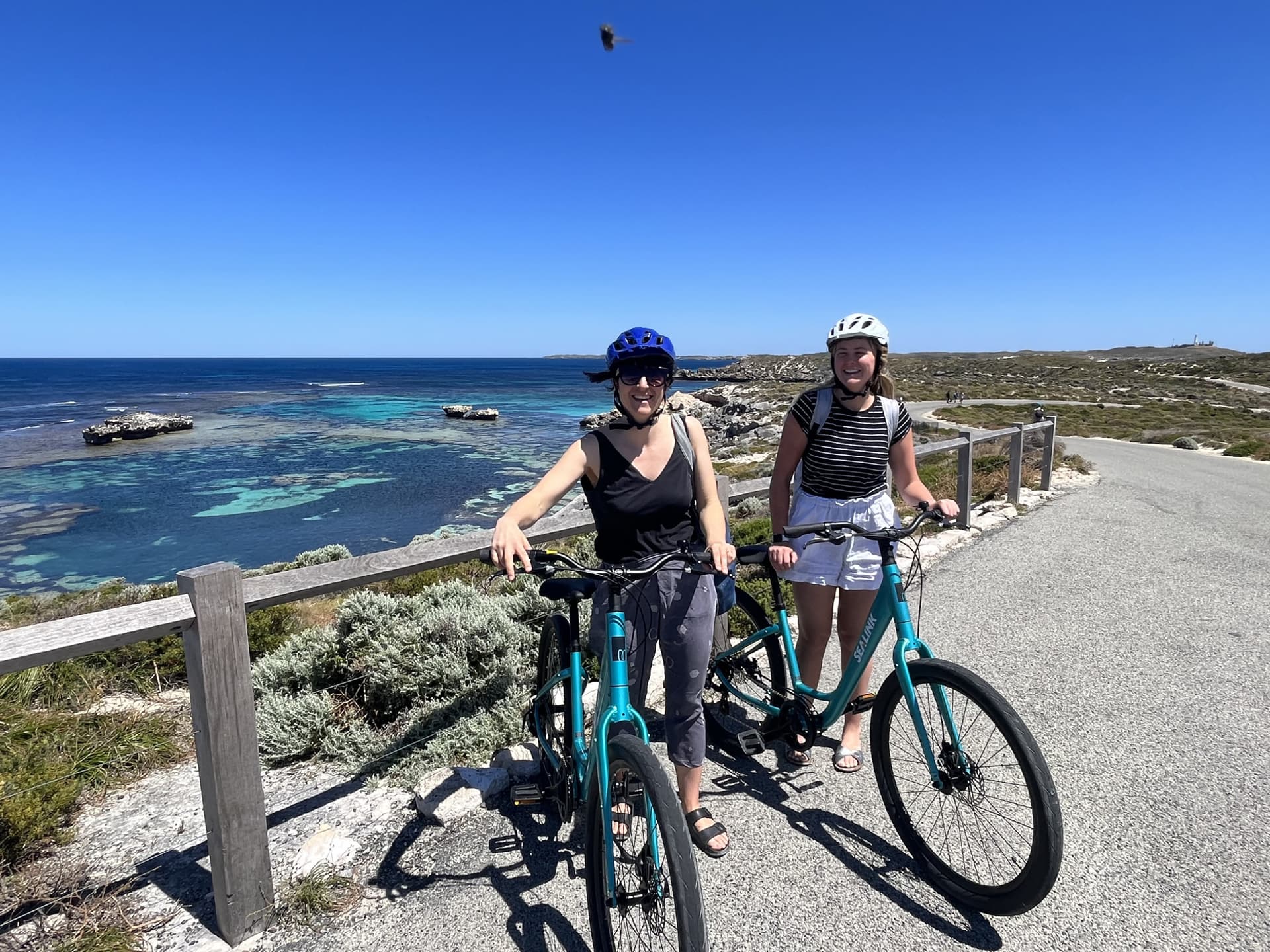 Round Trip SeaLink Ferry Transfer to Rottnest Island with Bike Hire - تصویر 5
