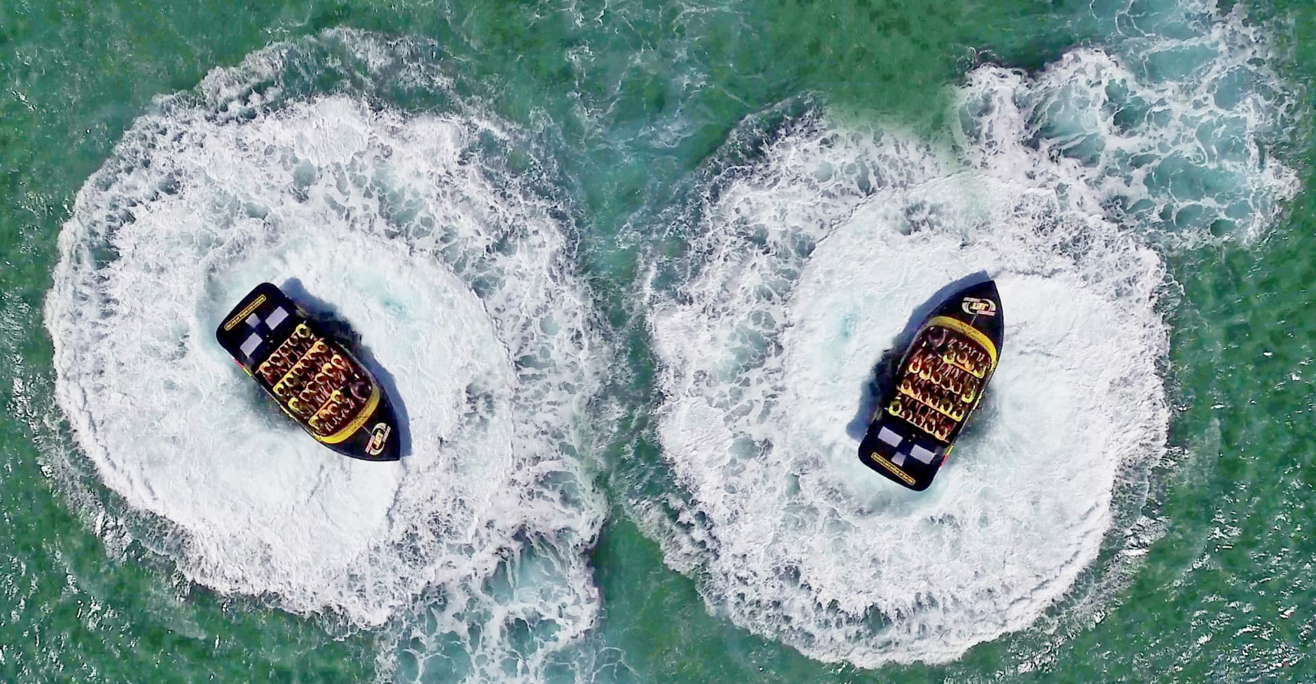 COMBO: Dreamworld + Skypoint + Paradise Jet Boating in Gold Coast - تصویر 7