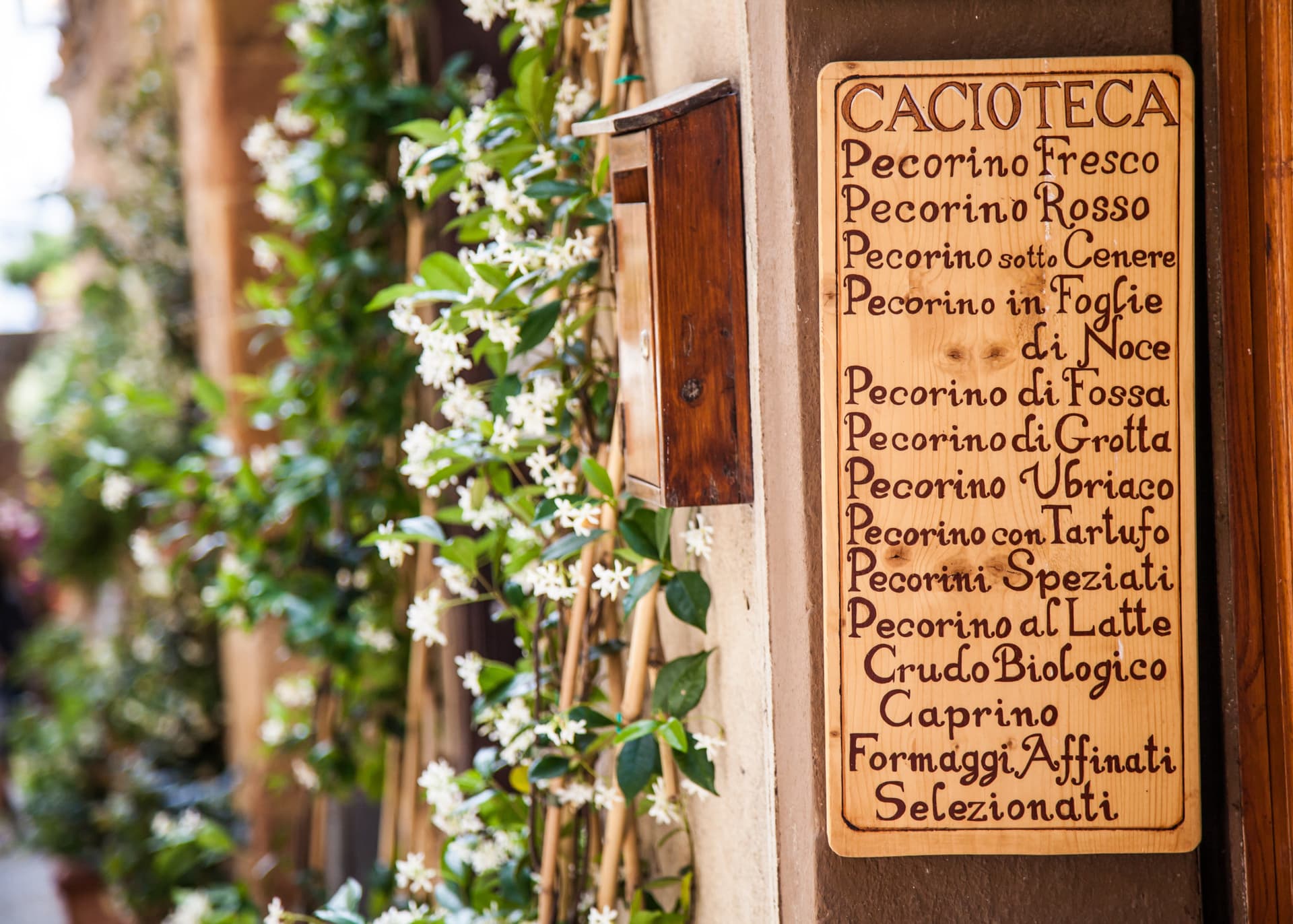 Medieval Tuscany Tour from Florence: Monteriggioni, Montalcino, Pienza - تصویر 10
