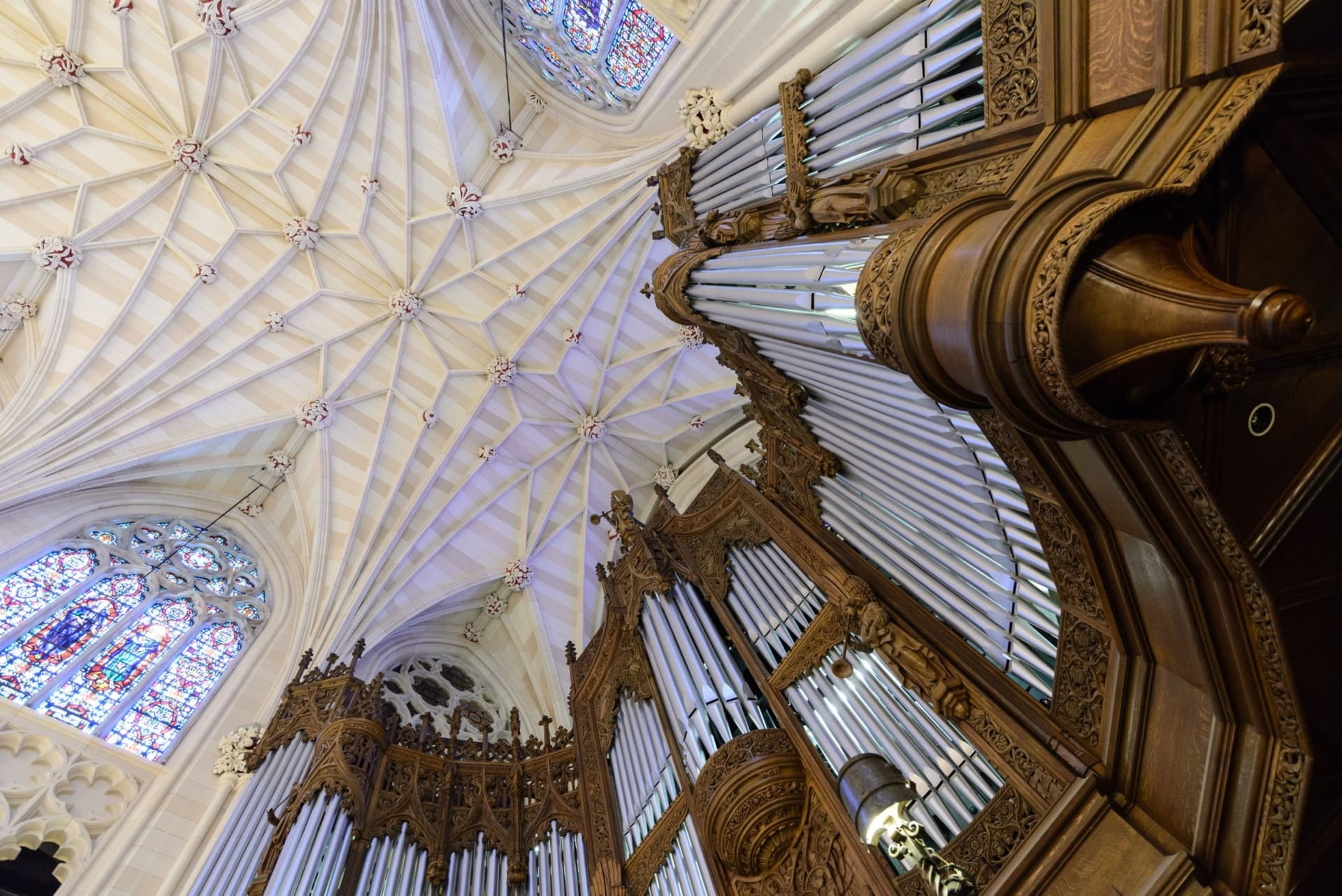 St. Patrick's Cathedral Self-Guided Audio Tour - تصویر 14