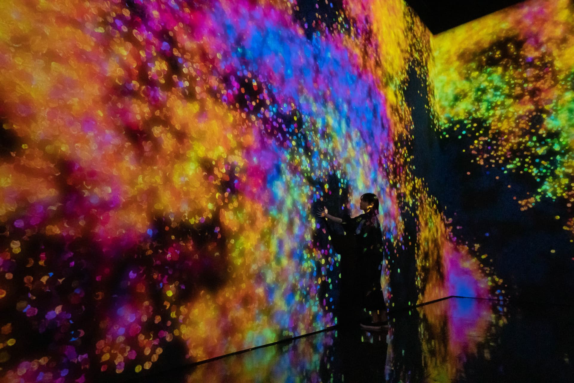 teamLab SuperNature Macao 3D Interactive Exhibition Ticket - تصویر 5
