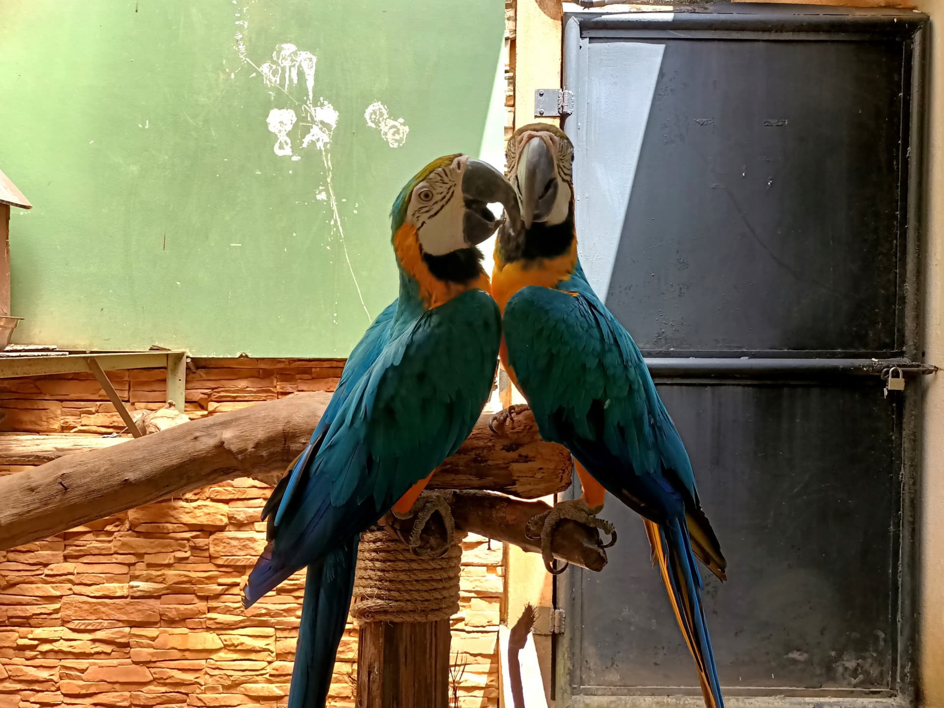 Langkawi Wildlife Park - تصویر 5