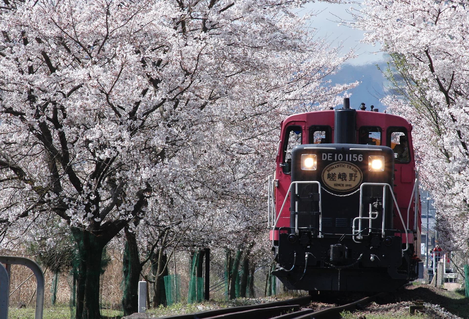 Sagano Romantic Train - تصویر 14