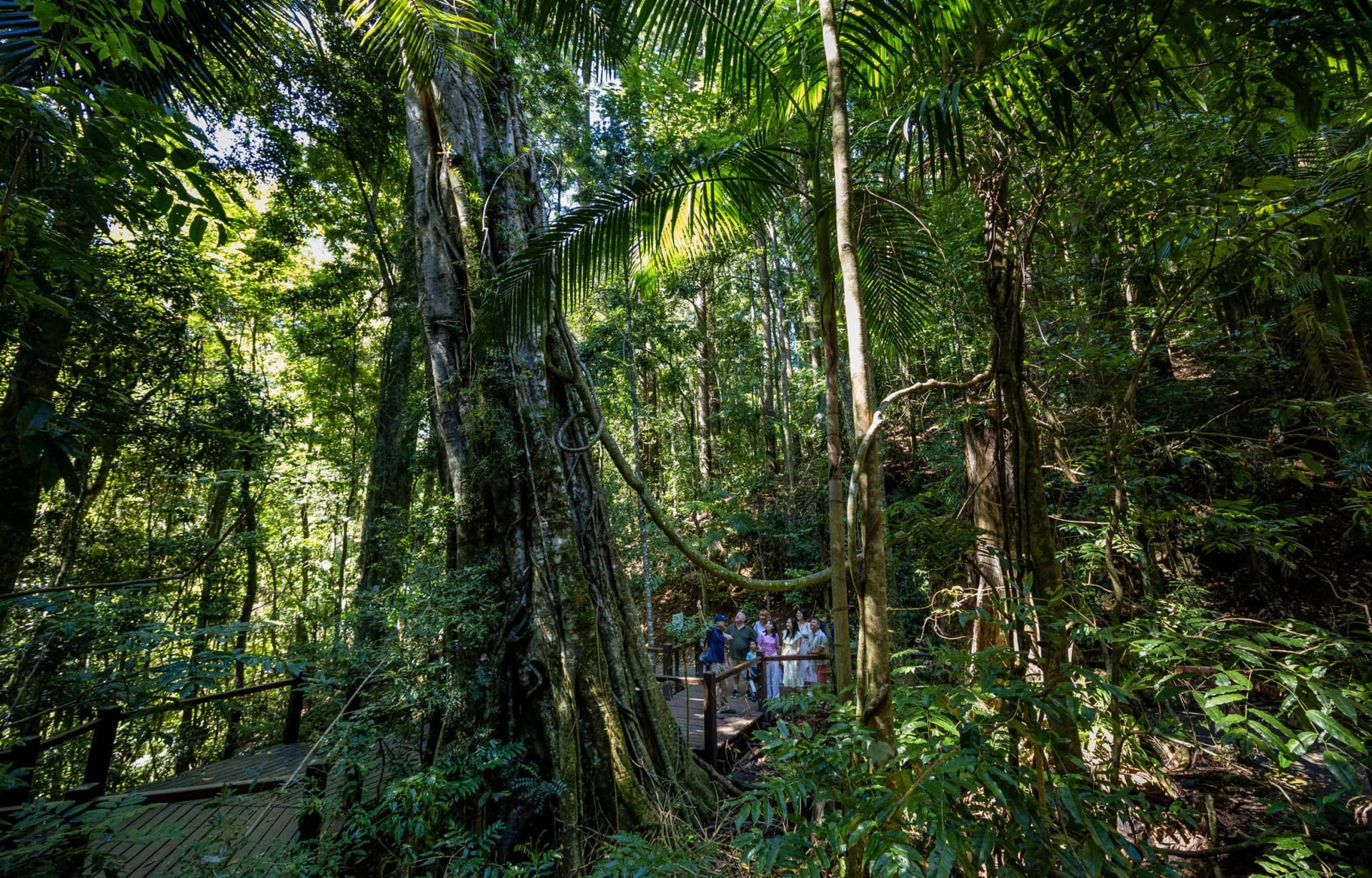 Gold Coast Full-Day Tour From Brisbane - تصویر 8