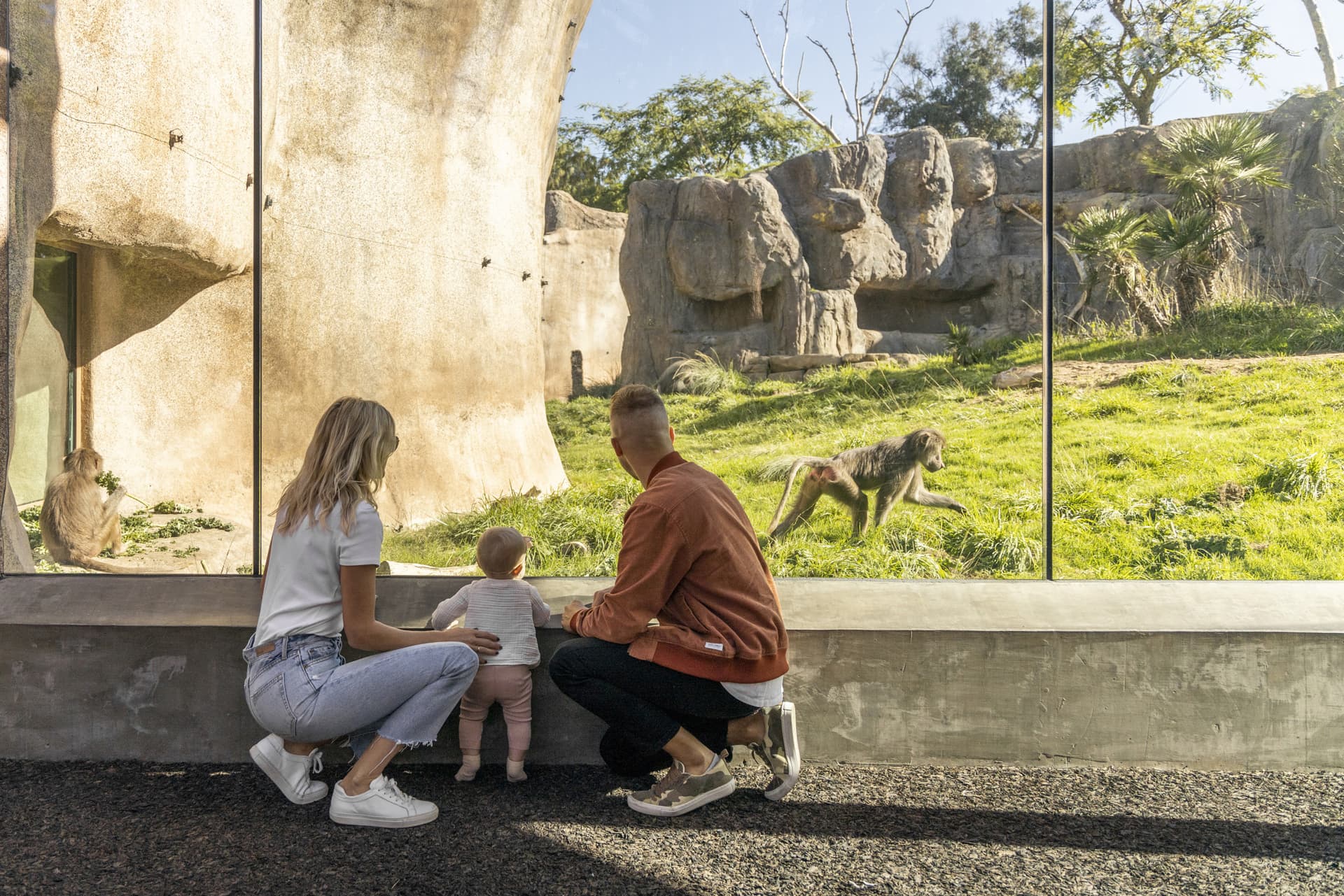 Go City San Diego Explorer Pass: Save up to 50% on Attractions - تصویر 17