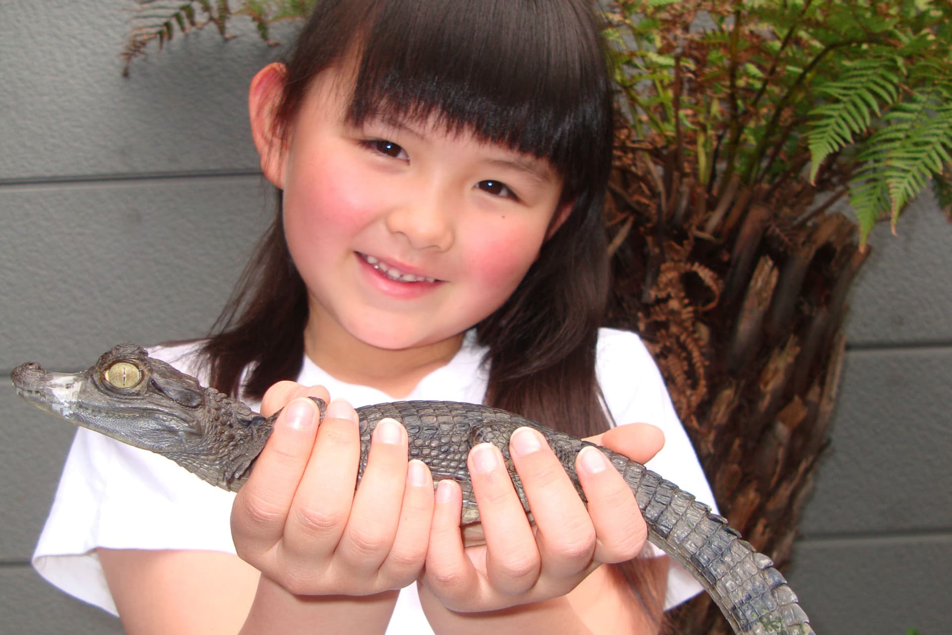 iZoo Sensory Zoo Ticket - تصویر 2