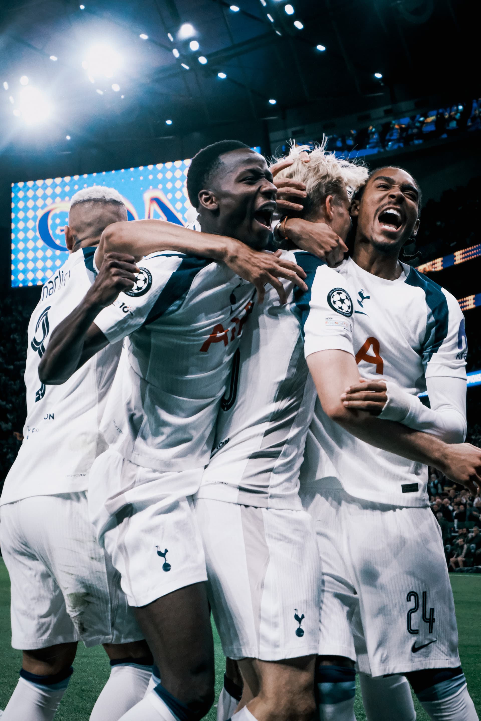 Premier League Football - Tottenham Hotspur FC Match Ticket at Tottenham Hotspur Stadium - تصویر 6