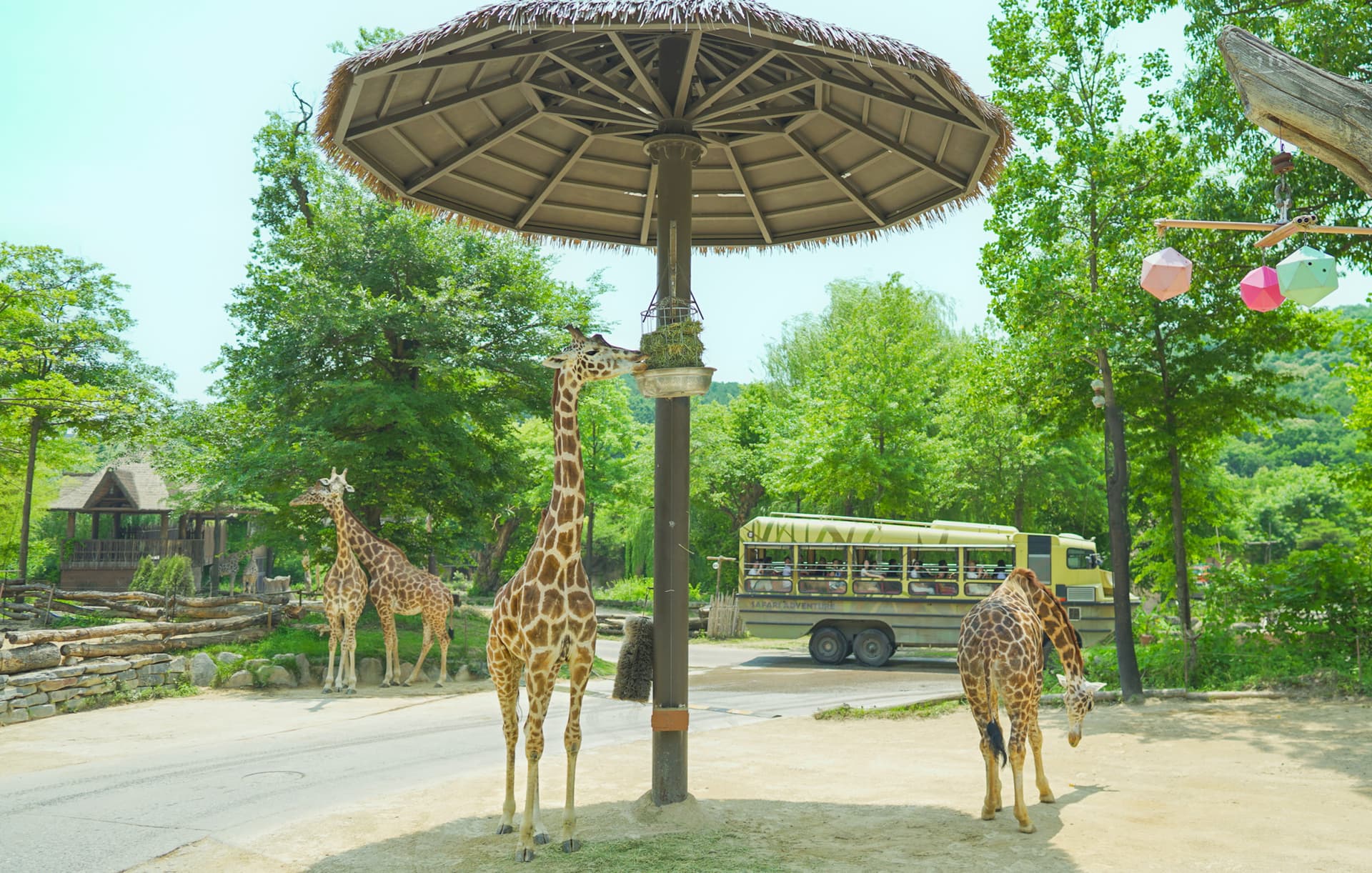 Everland Theme Park with Round Trip Transfers from Seoul - تصویر 16