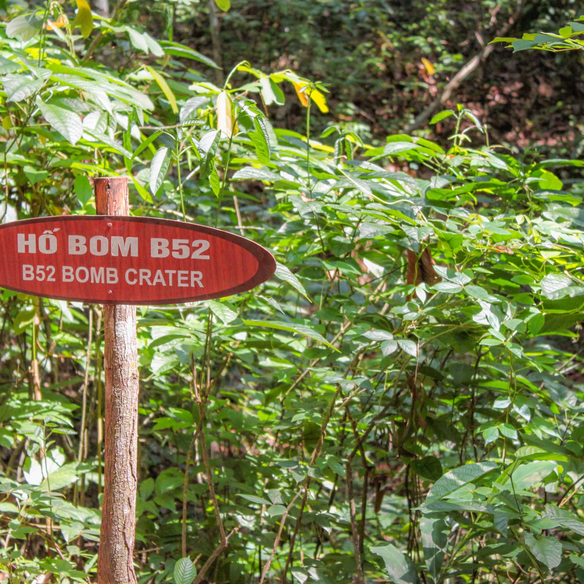 Cu Chi Tunnels and Mekong Delta Full-Day Tour from Ho Chi Minh - تصویر 8
