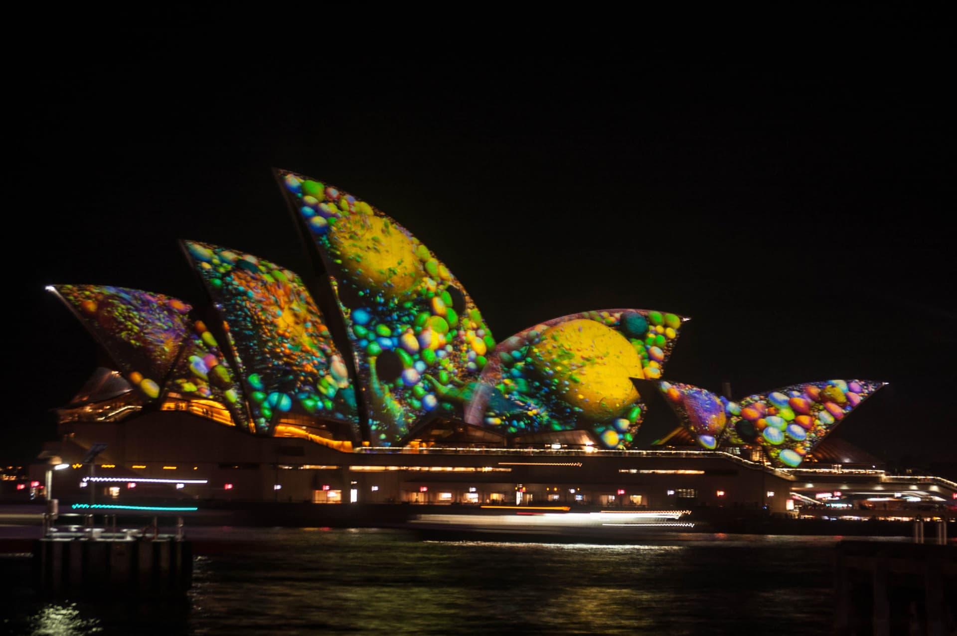Vivid Festival of Light and Sound Cruise with Buffet Dinner aboard Sydney Princess Cruises - تصویر 8