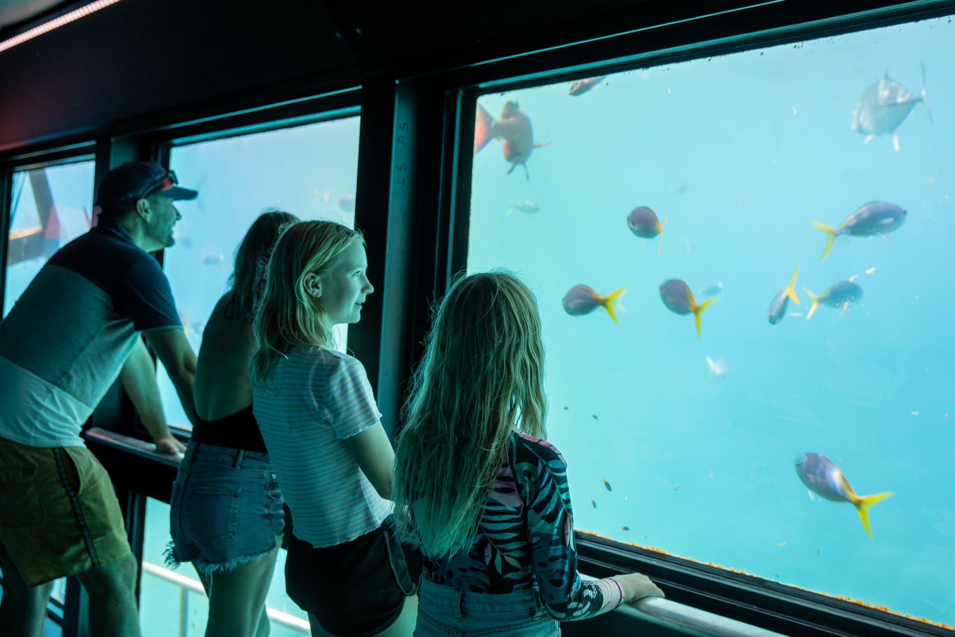 Reef Magic Pontoon Tour from Cairns - تصویر 3