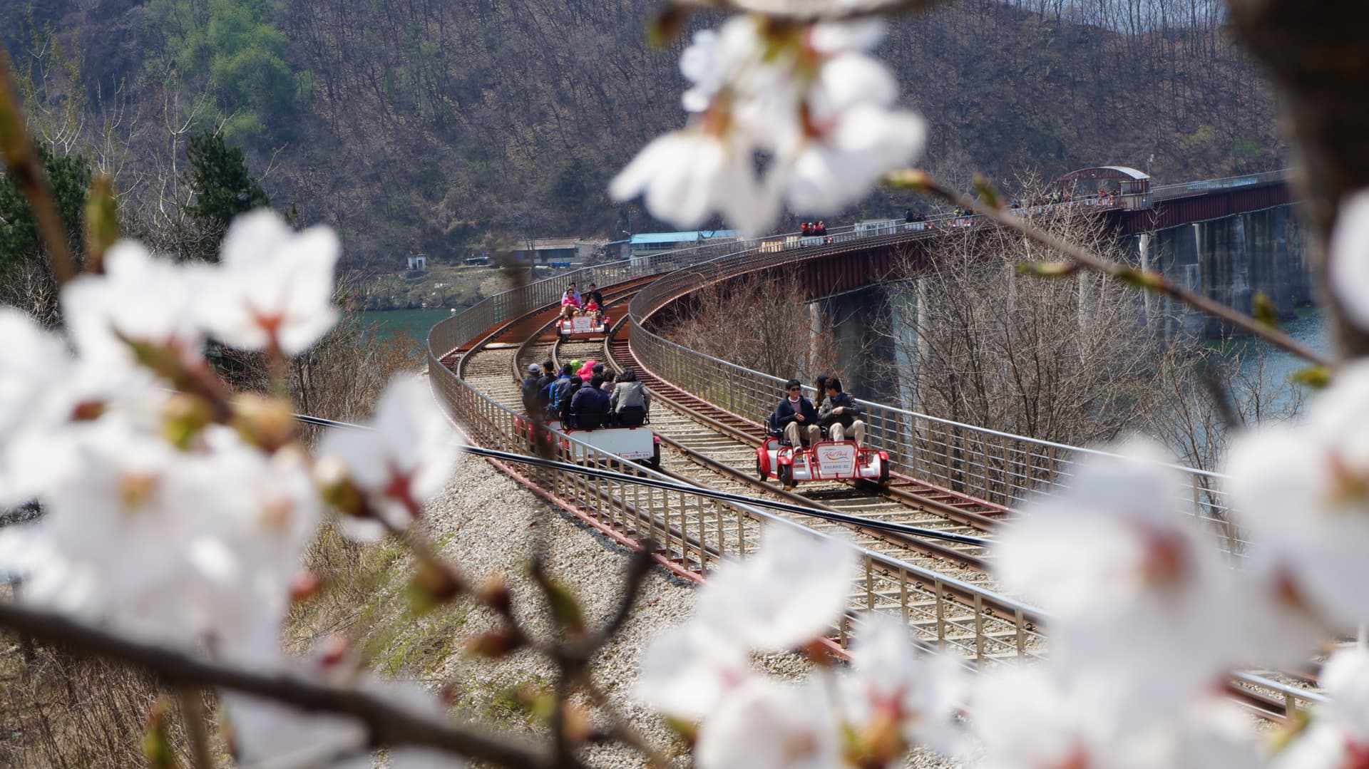 Nami Island, Petite France, Italian Village, and Gangchon Rail Bike Tour from Seoul - تصویر اصلی