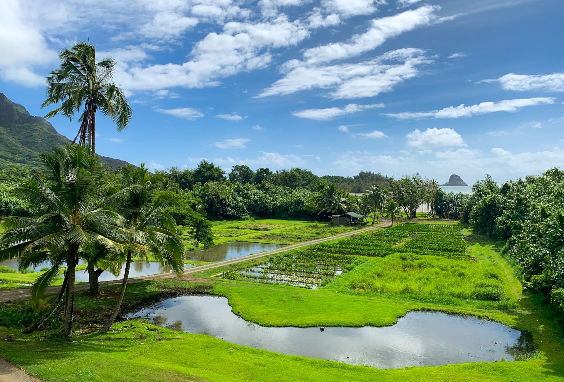 Go City Oahu All-Inclusive Pass: Save up to 50% on Attractions - تصویر 15