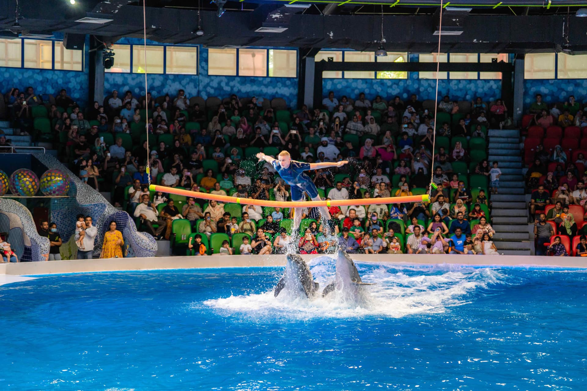 Dubai Dolphinarium Ticket - تصویر 8