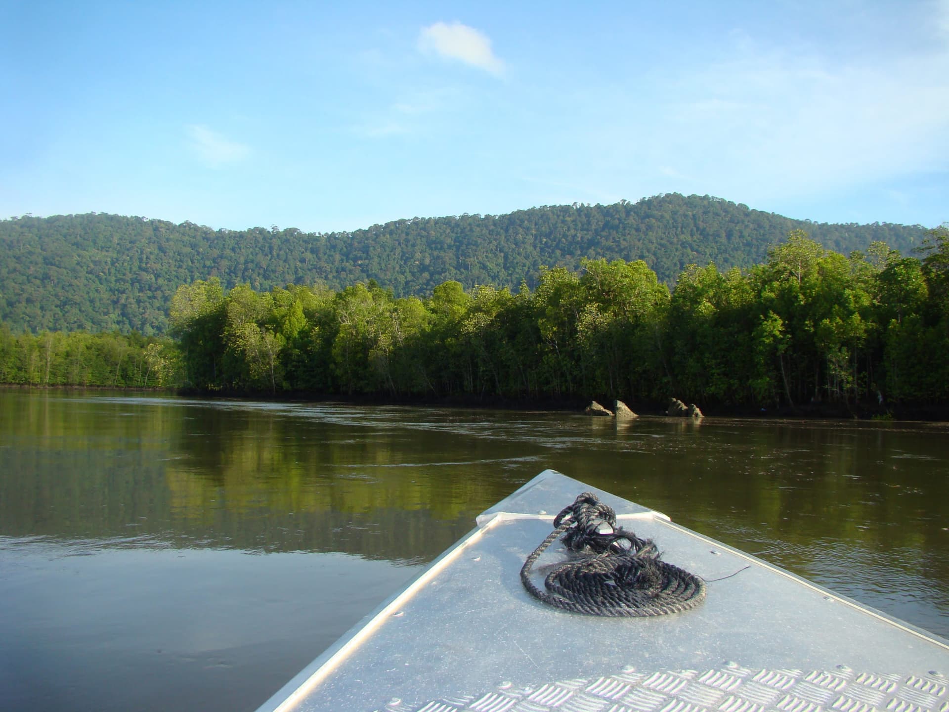 Langkawi Mangrove River Cruise and Snorkeling - تصویر اصلی