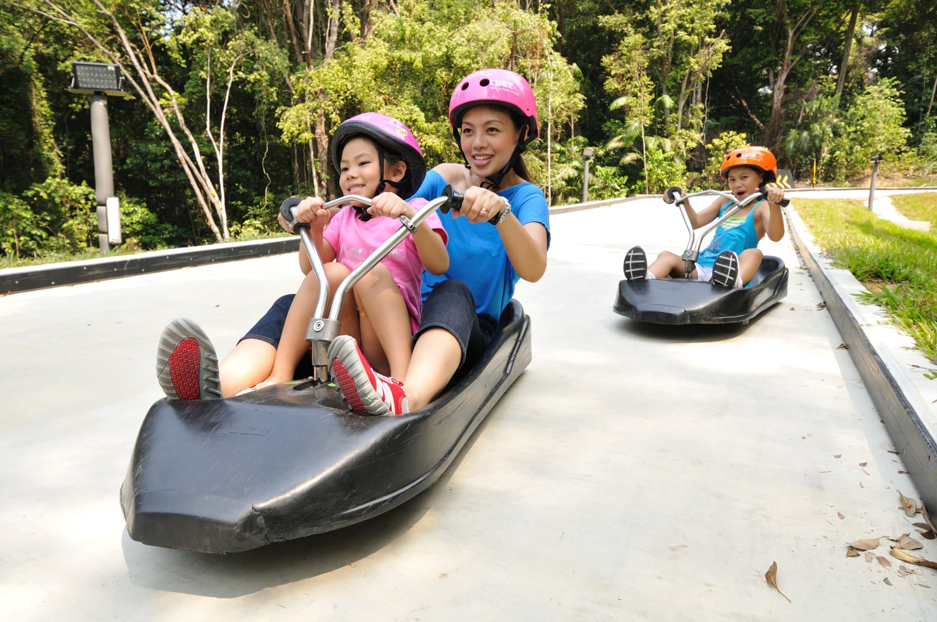 COMBO: Skyline Luge Singapore + Gardens by the Bay Ticket - تصویر 2