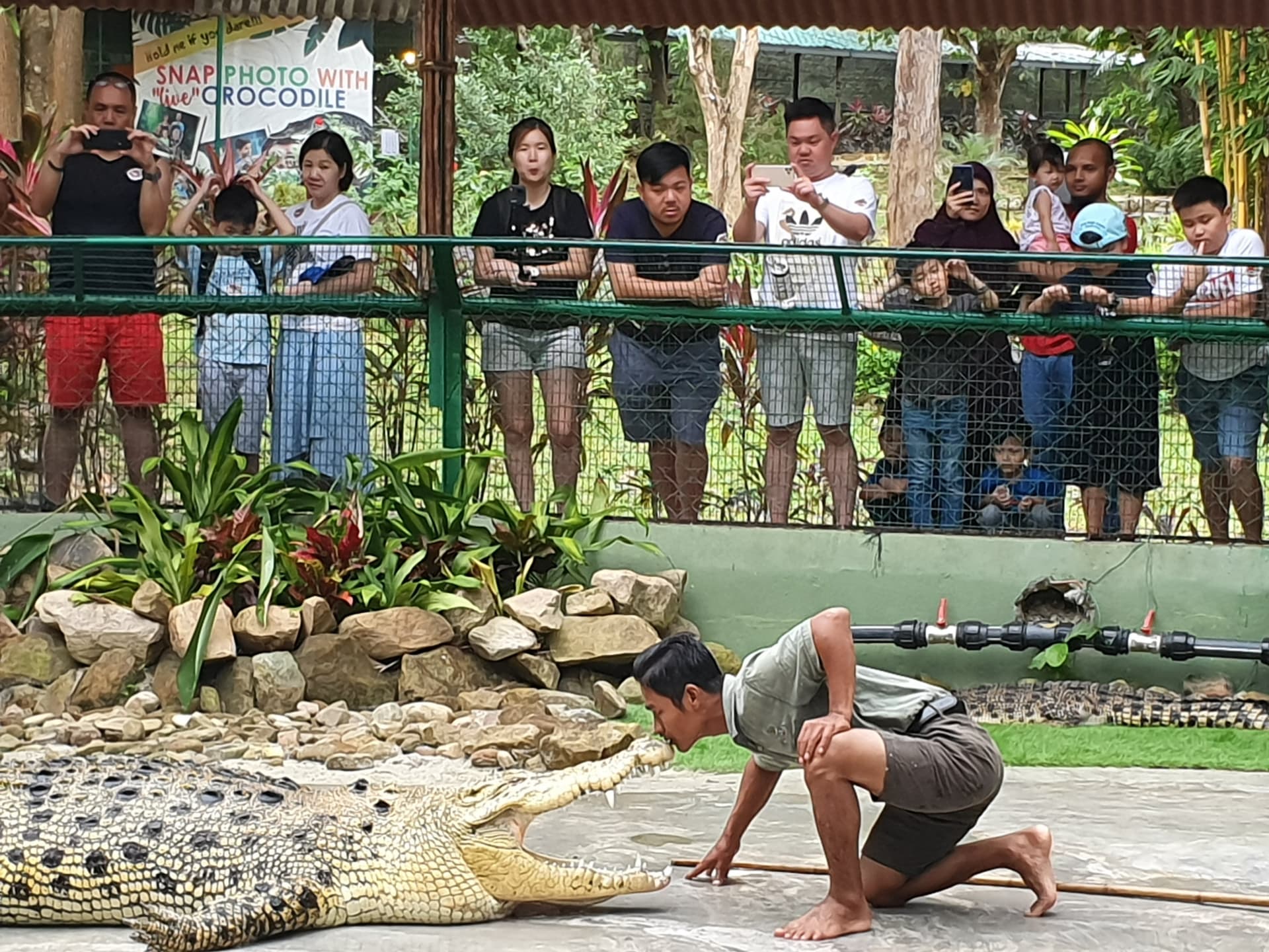 Crocodile Adventureland Langkawi - تصویر 5