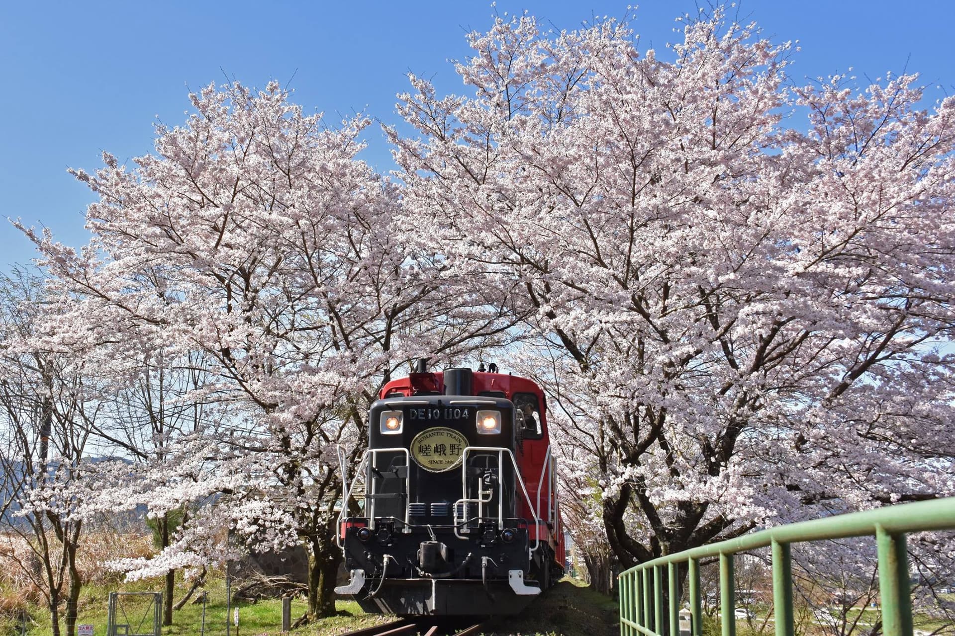 Sagano Romantic Train - تصویر 15