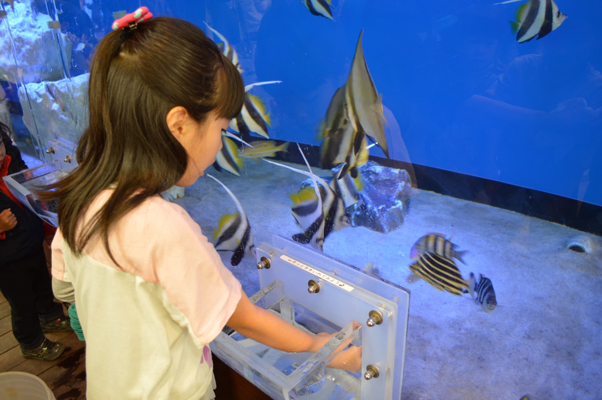 Minamichita Beach Land and Minamichita Toy Kingdom Ticket - تصویر 5