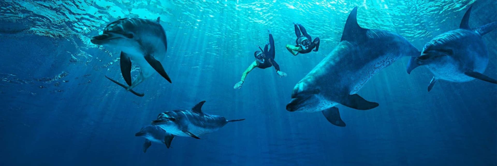 Atlantis Aquaventure World Dubai - Dolphin and Sea Lion Experiences at Atlas Village - تصویر 6