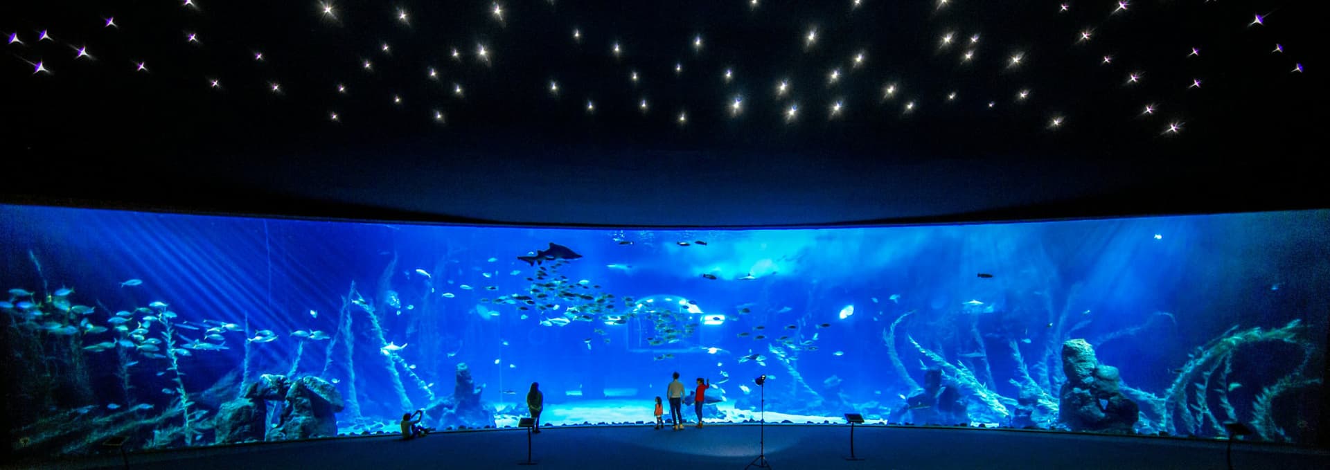 Poema del Mar - Aquarium Gran Canaria: Skip The Line Ticket - تصویر 2