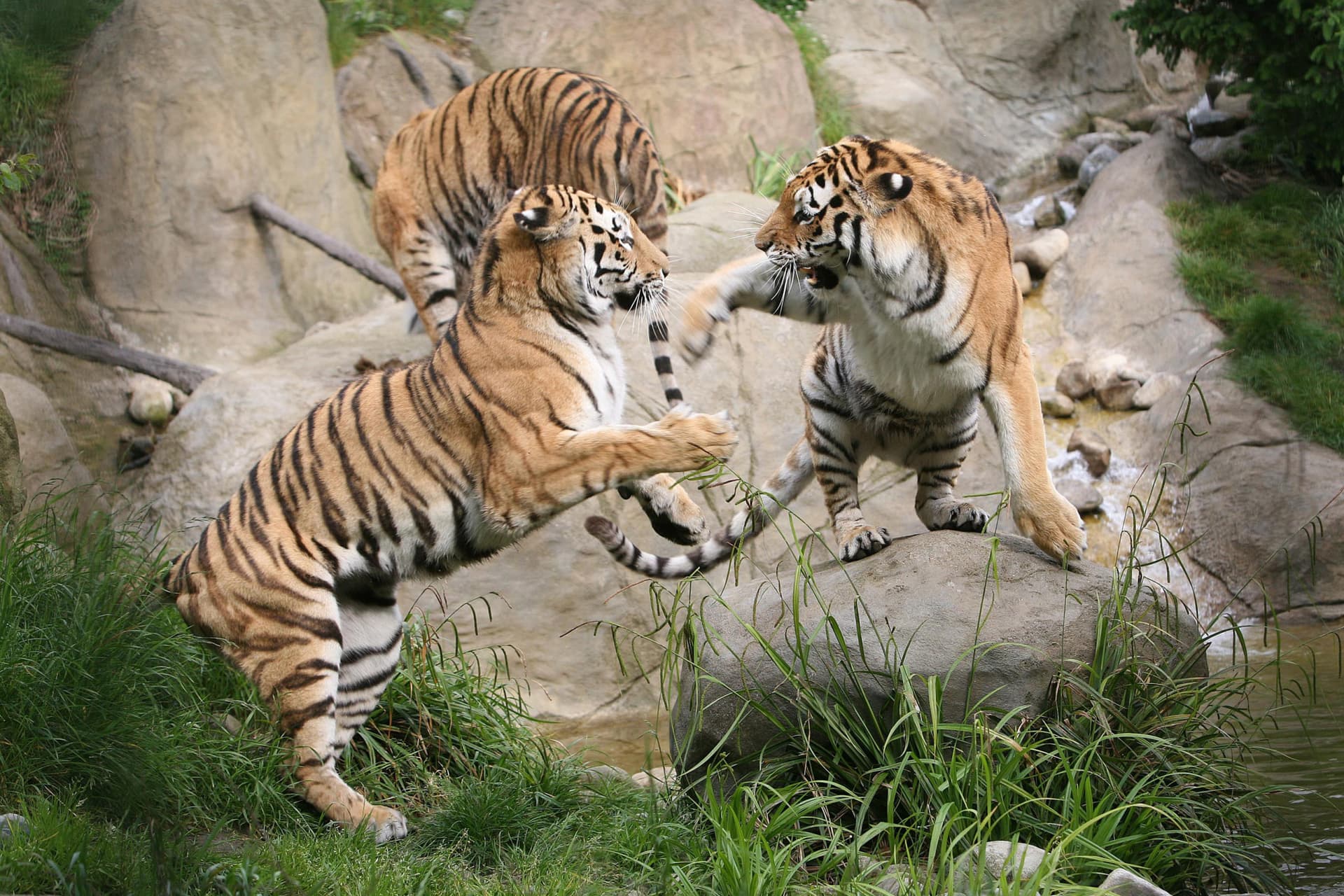 Go City Dublin All-Inclusive Pass: Save up to 50% on Attractions - تصویر 7