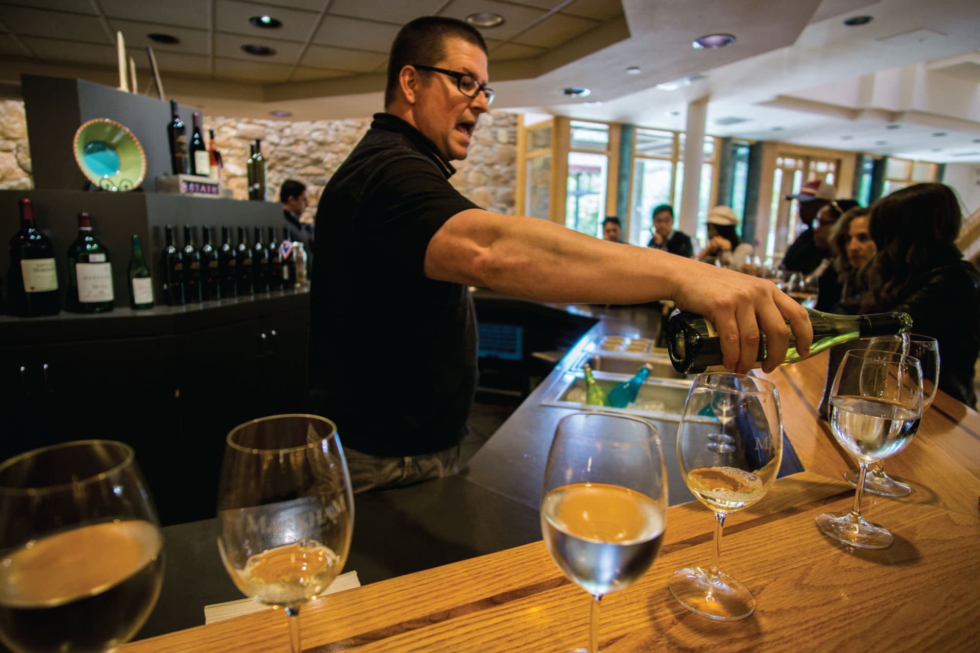 San Francisco Full-Day Wine Country Tour - تصویر اصلی