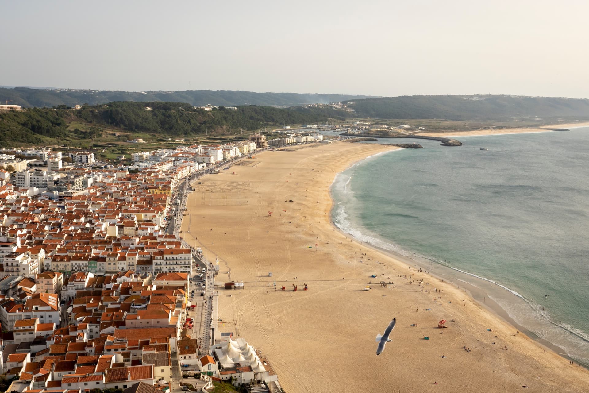 Fatima, Nazare, and Sintra Full-Day Tour from Lisbon - تصویر 3