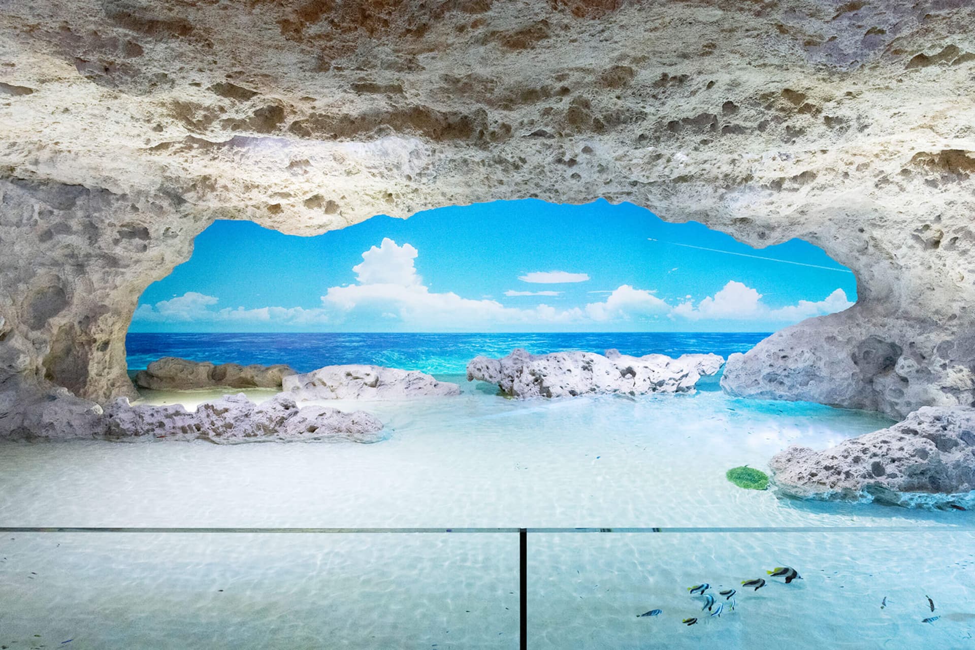 Okinawa DMM Kariyushi Aquarium - تصویر اصلی