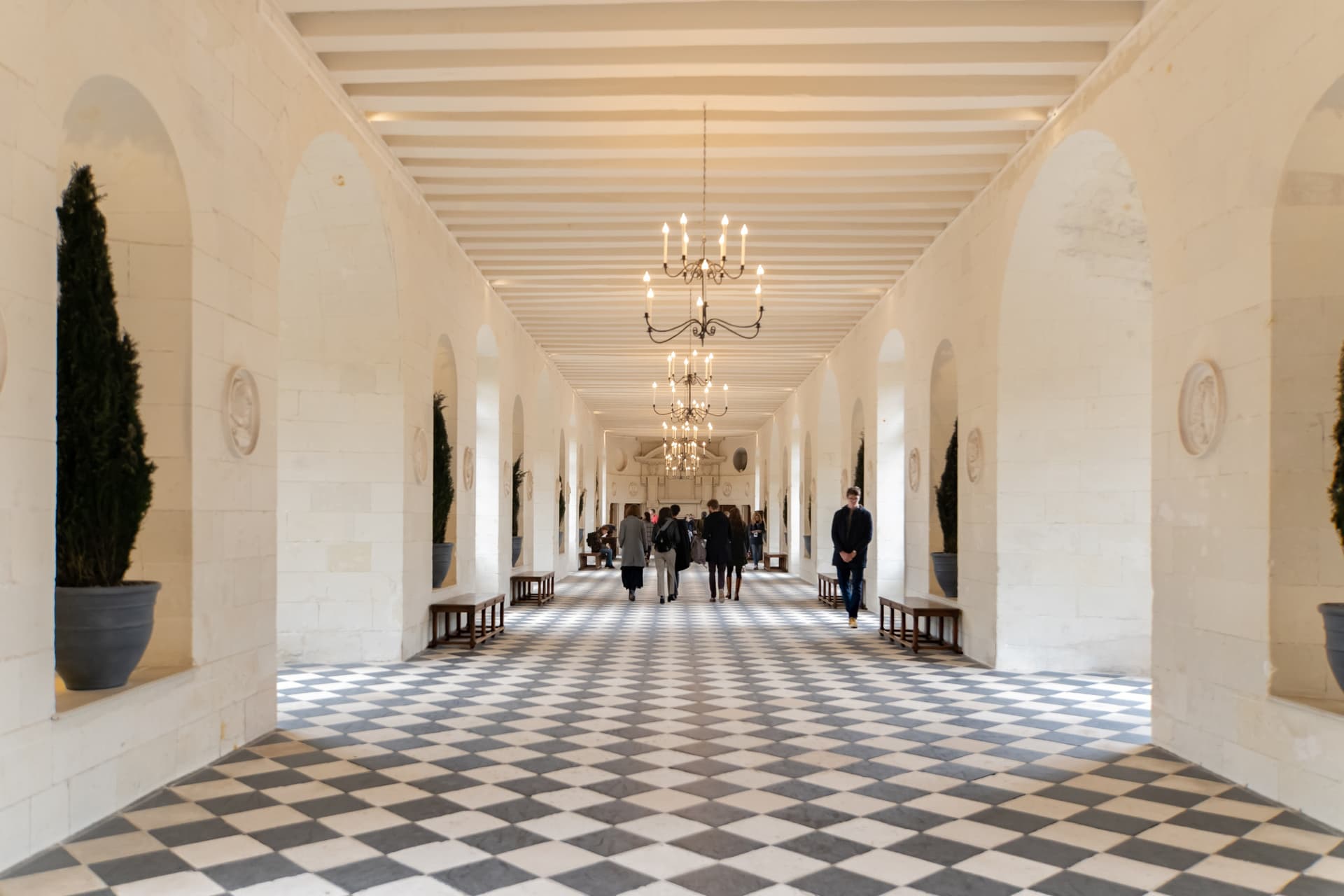 Loire Valley Tour from Paris: Chambord, Chenonceau, and Cheverny Castles - تصویر 17