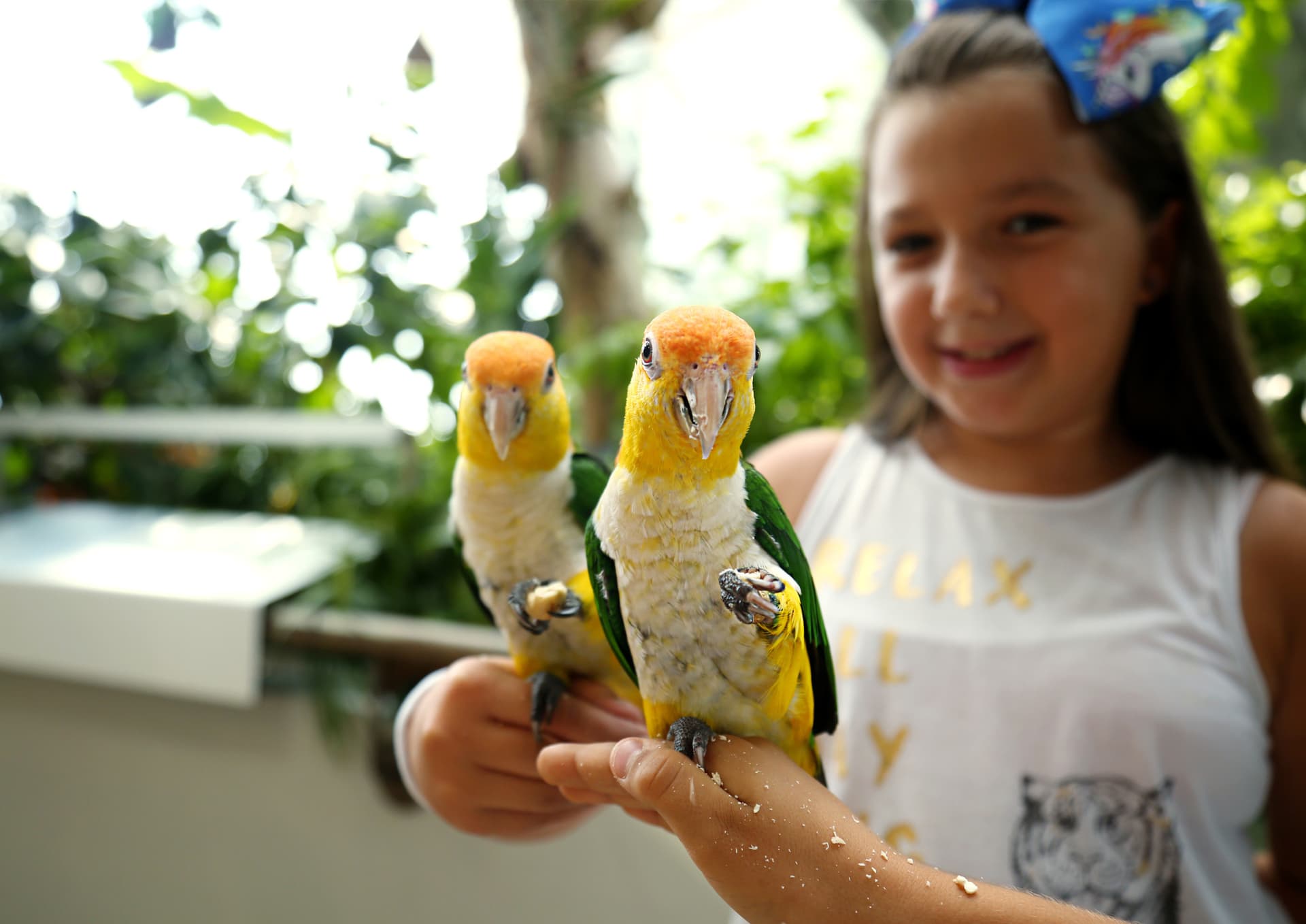The Green Planet Dubai Ticket - تصویر 10